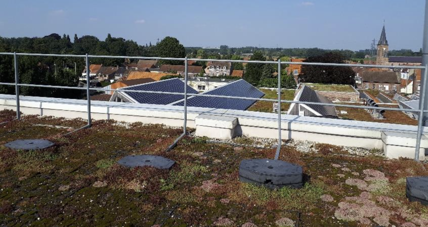 Toit végétalisé avec panneaux solaires – solution écopaysagère durable