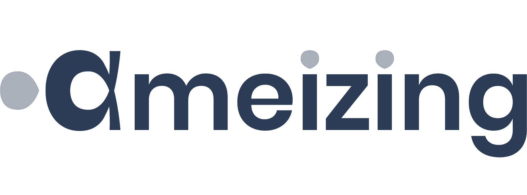 Ameizing