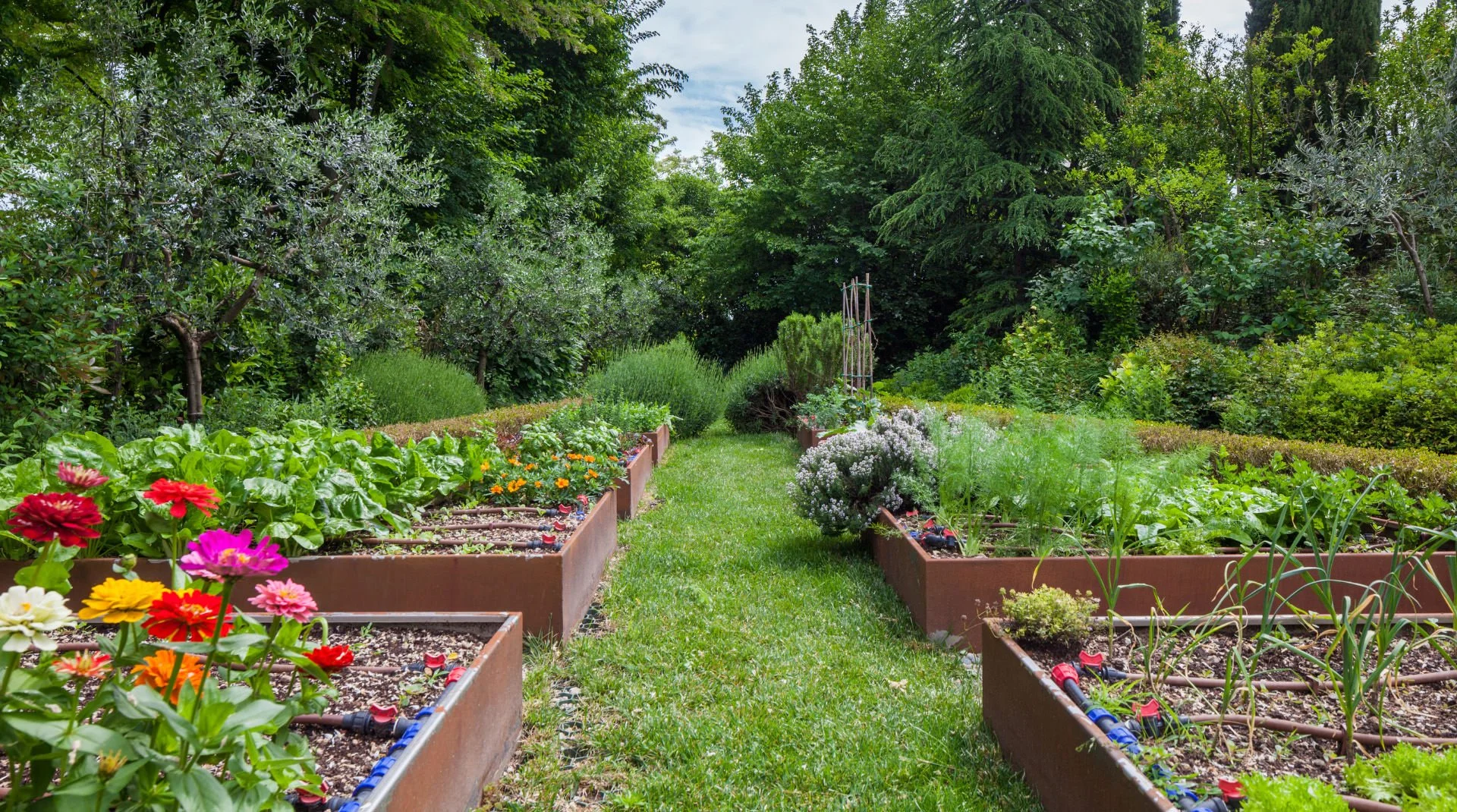 Phytoépuration pour le retraitement des encres biodégradables