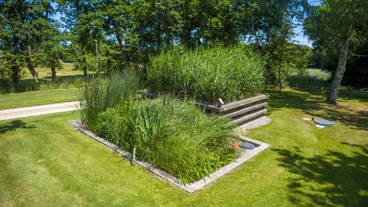 Réalisation paysagère durable – espace extérieur végétalisé conçu par Ecopaysage Solutions