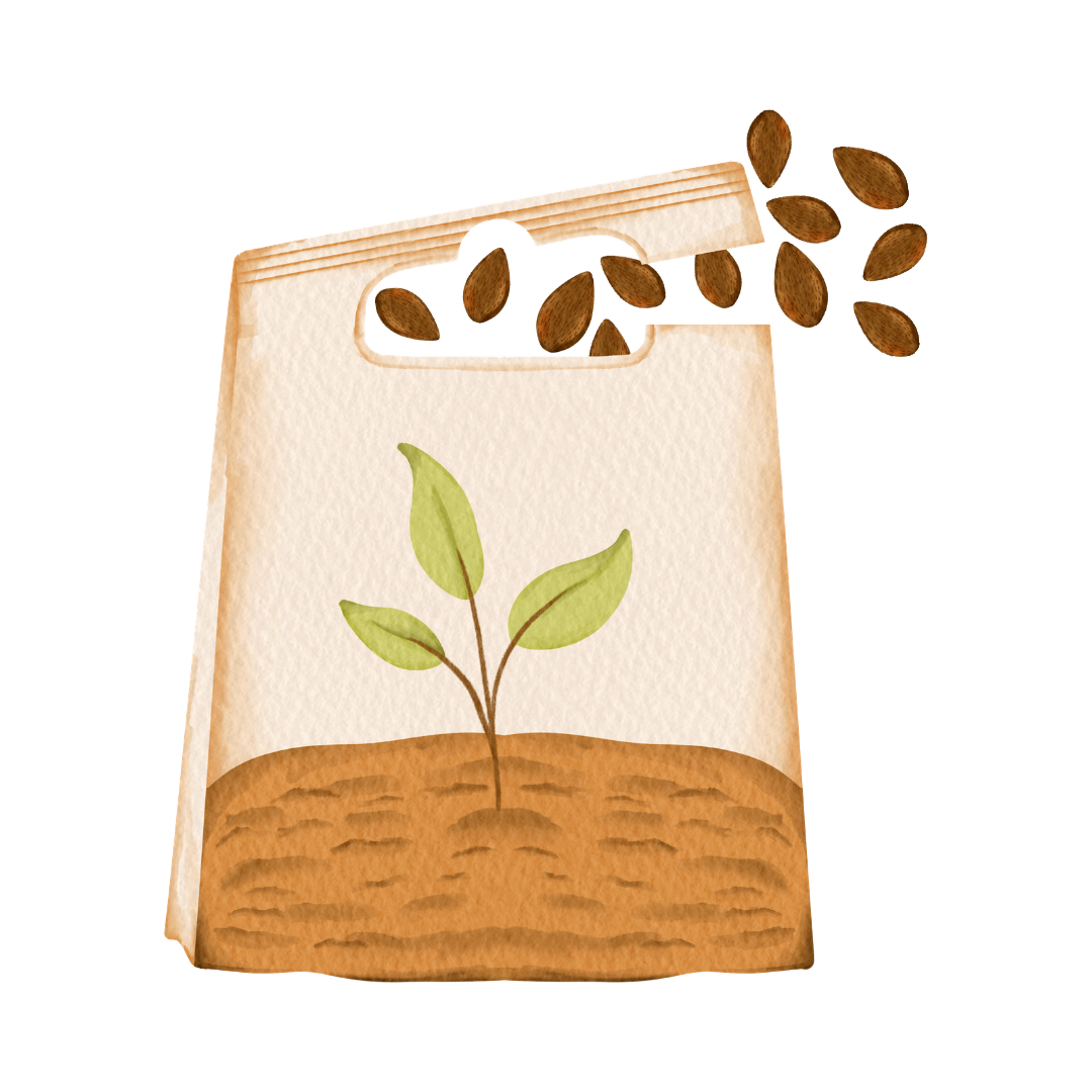 Ecopaysage Solutions, aménagements paysagés dans le pays de Vitré et la région Rennaise