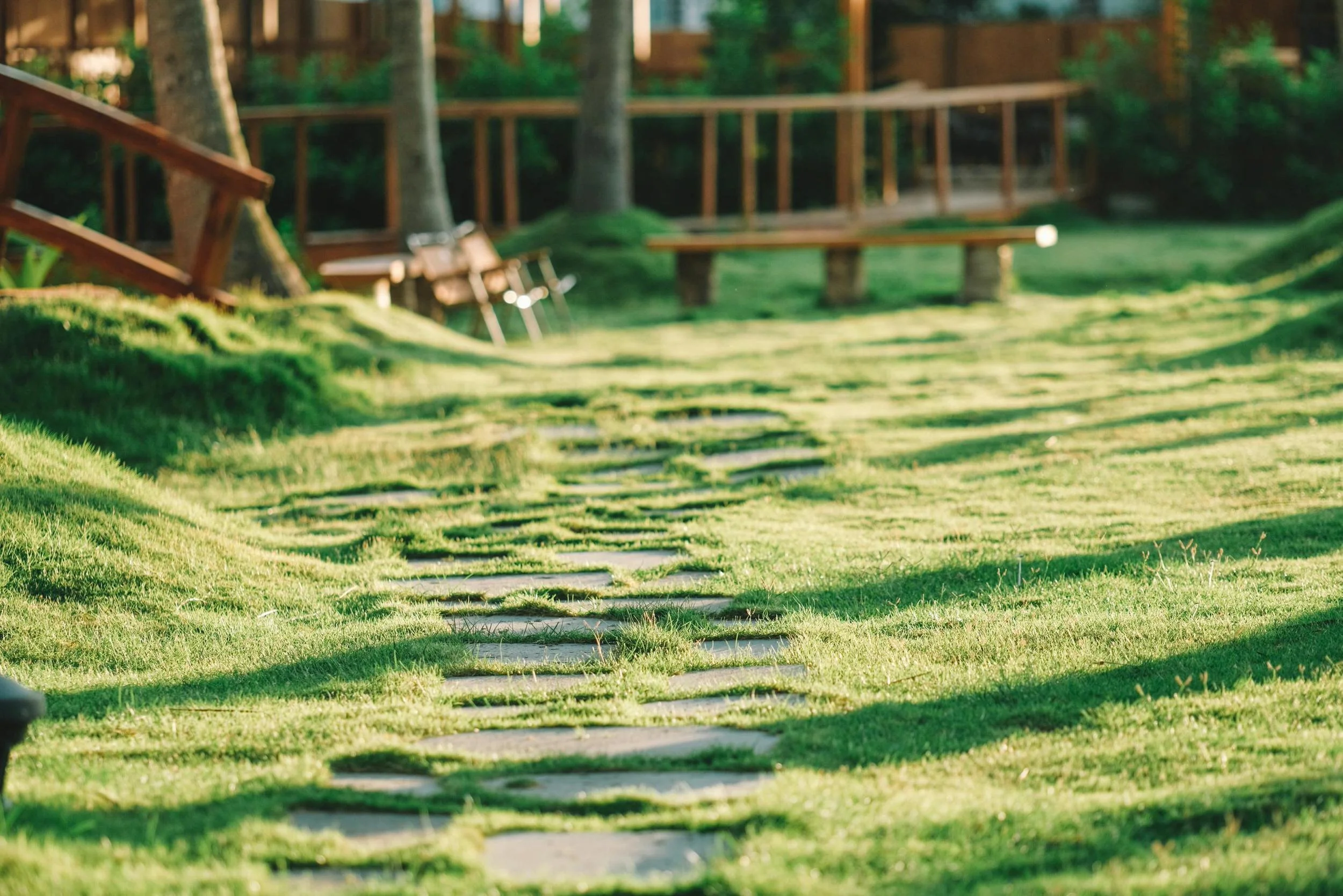 Terrasse arborée en entreprise – espace de détente et reconnexion à la nature