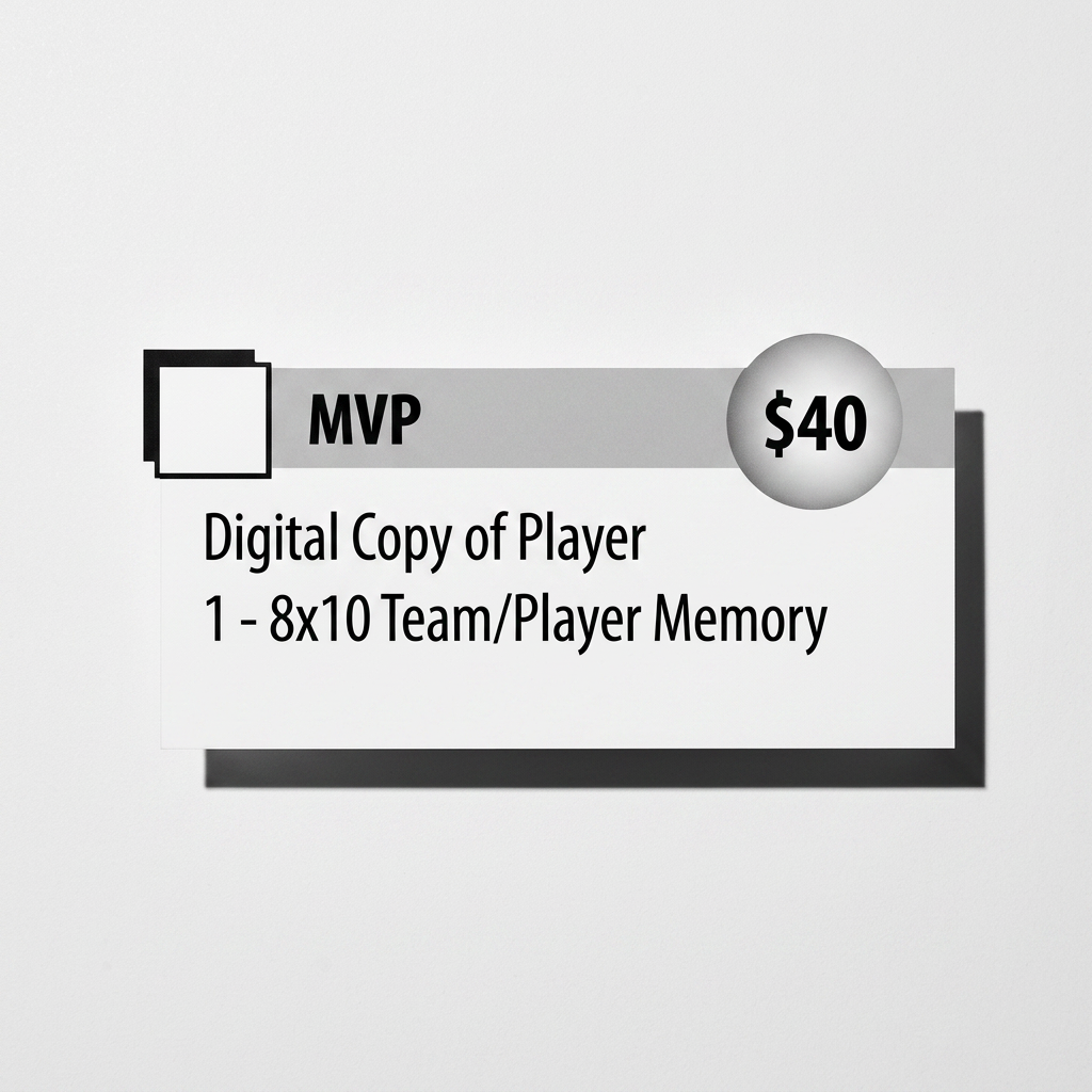 imgg-jvx-fc8fl2e8.png