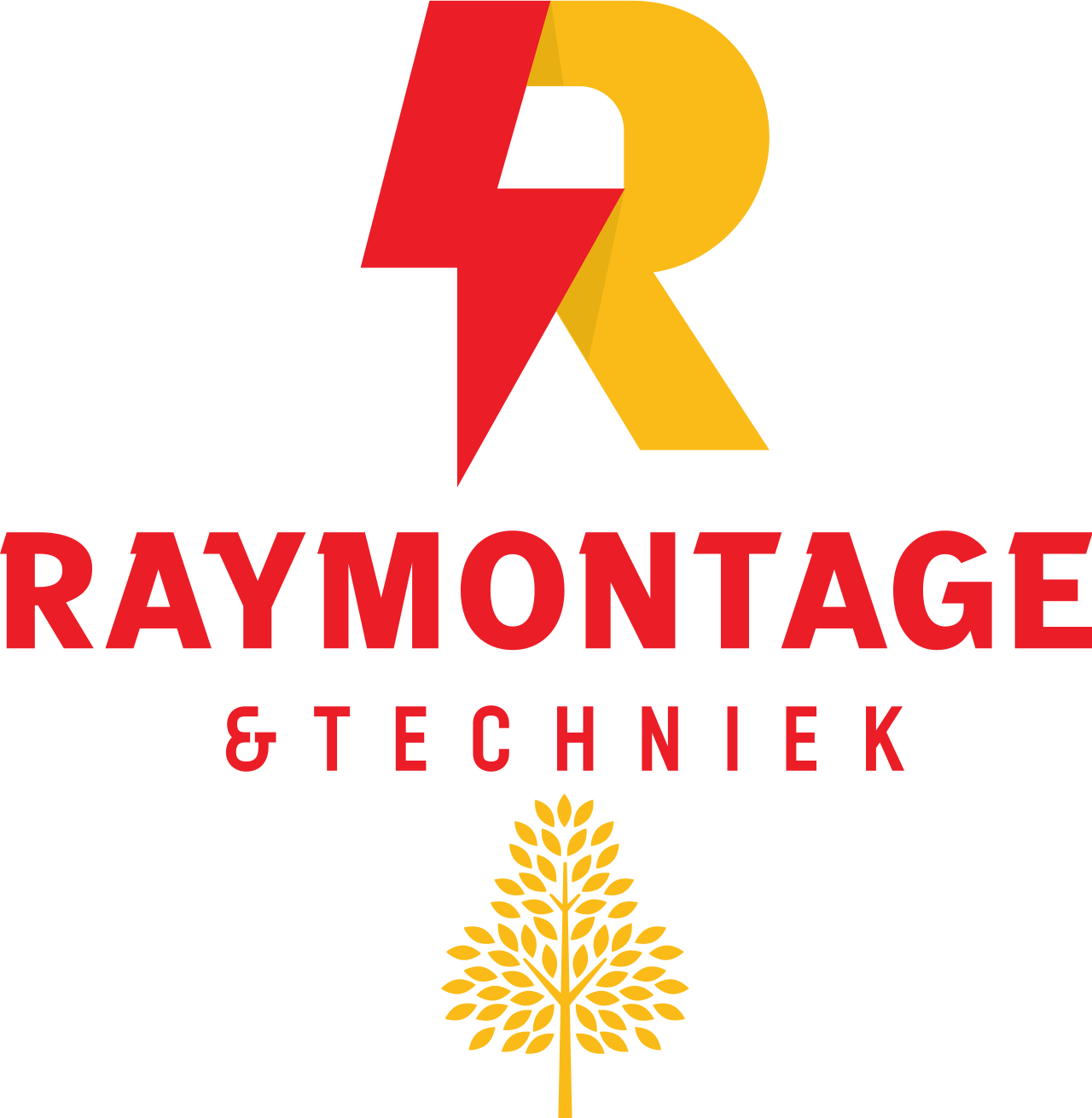 RayMontage &amp; Techniek
