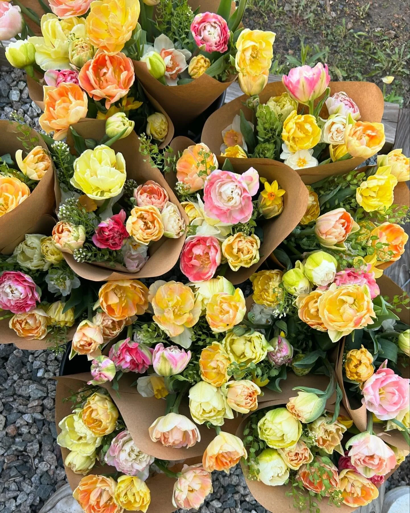 Group of colorful flower bouquets wrapped in brown paper, featuring mainly yellow, pink, and orange flowers, on a gravel surface.