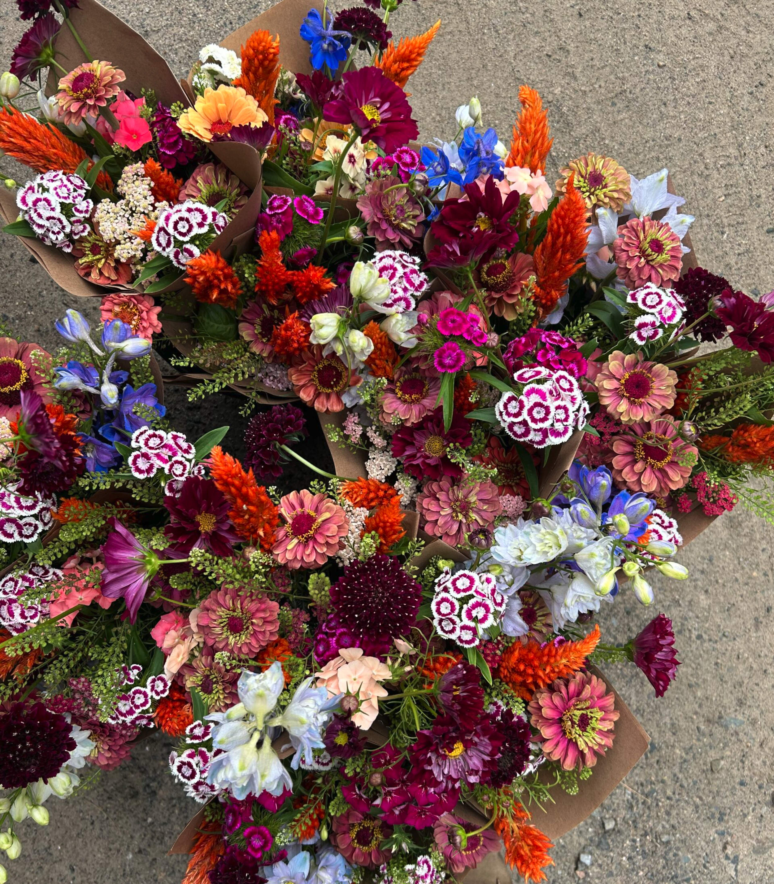 Summer Bouquet CSA 2026