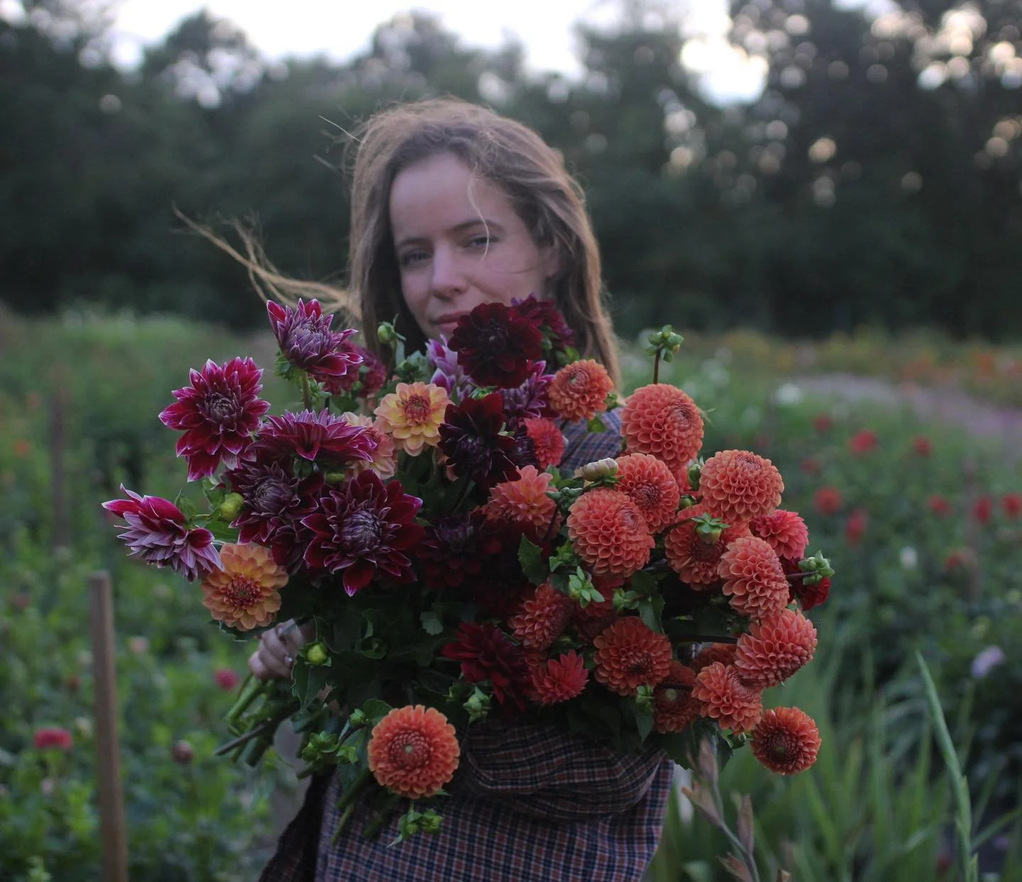A woman holding a large bouquet of colorful flowers, standing outdoors in a garden with blurred background of greenery and flowers at dusk.
