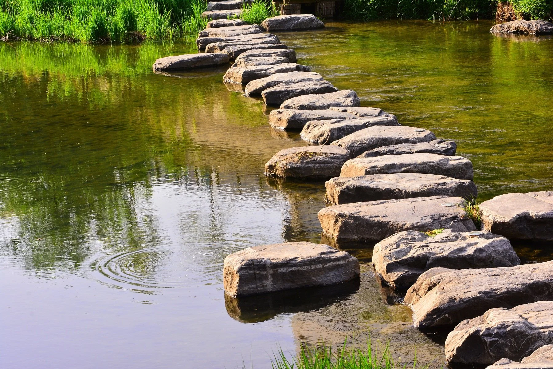 The stepping stones problem