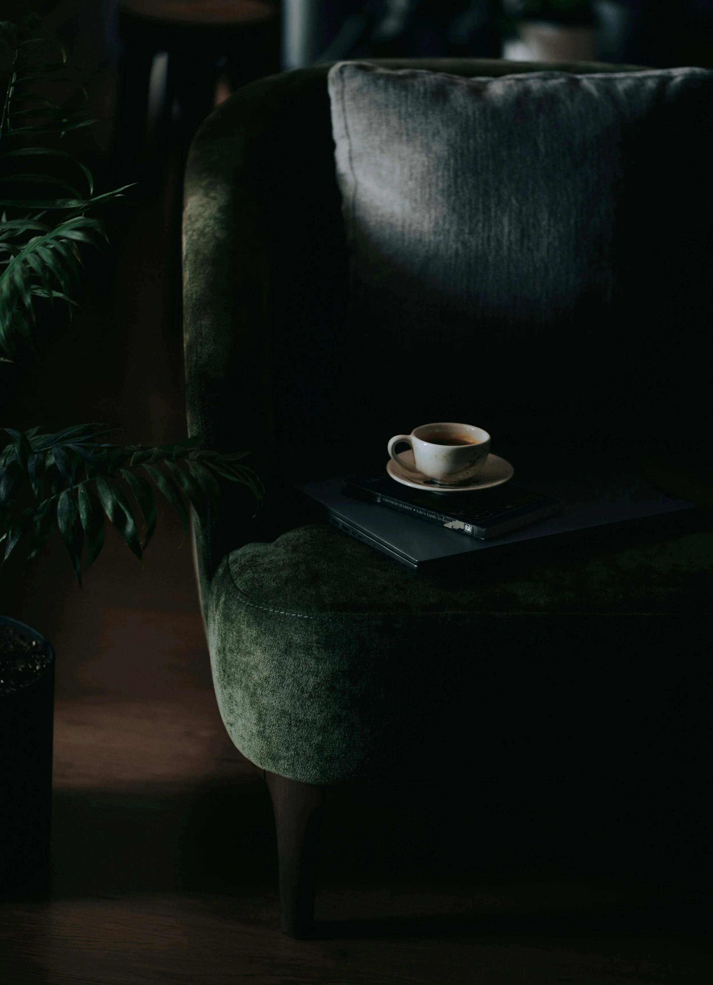 A dark living room scene with a green velvet armchair, a small black side table, a potted plant with glossy green leaves, and a cup of coffee on a saucer resting on a closed laptop on the armchair's armrest. Soft lighting creates shadows and highlights on the textures.