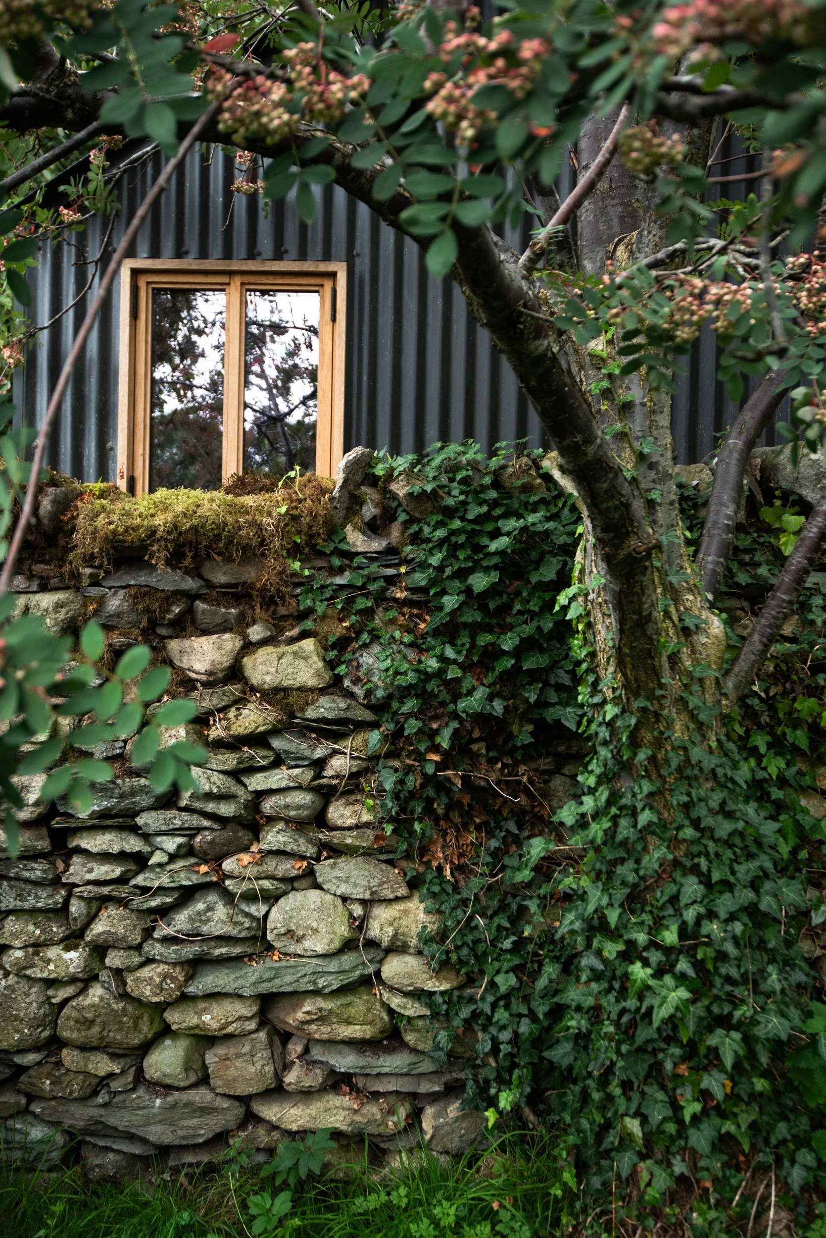 Oak-framed window in a Lake District garden studio, set above a moss-covered dry stone wall