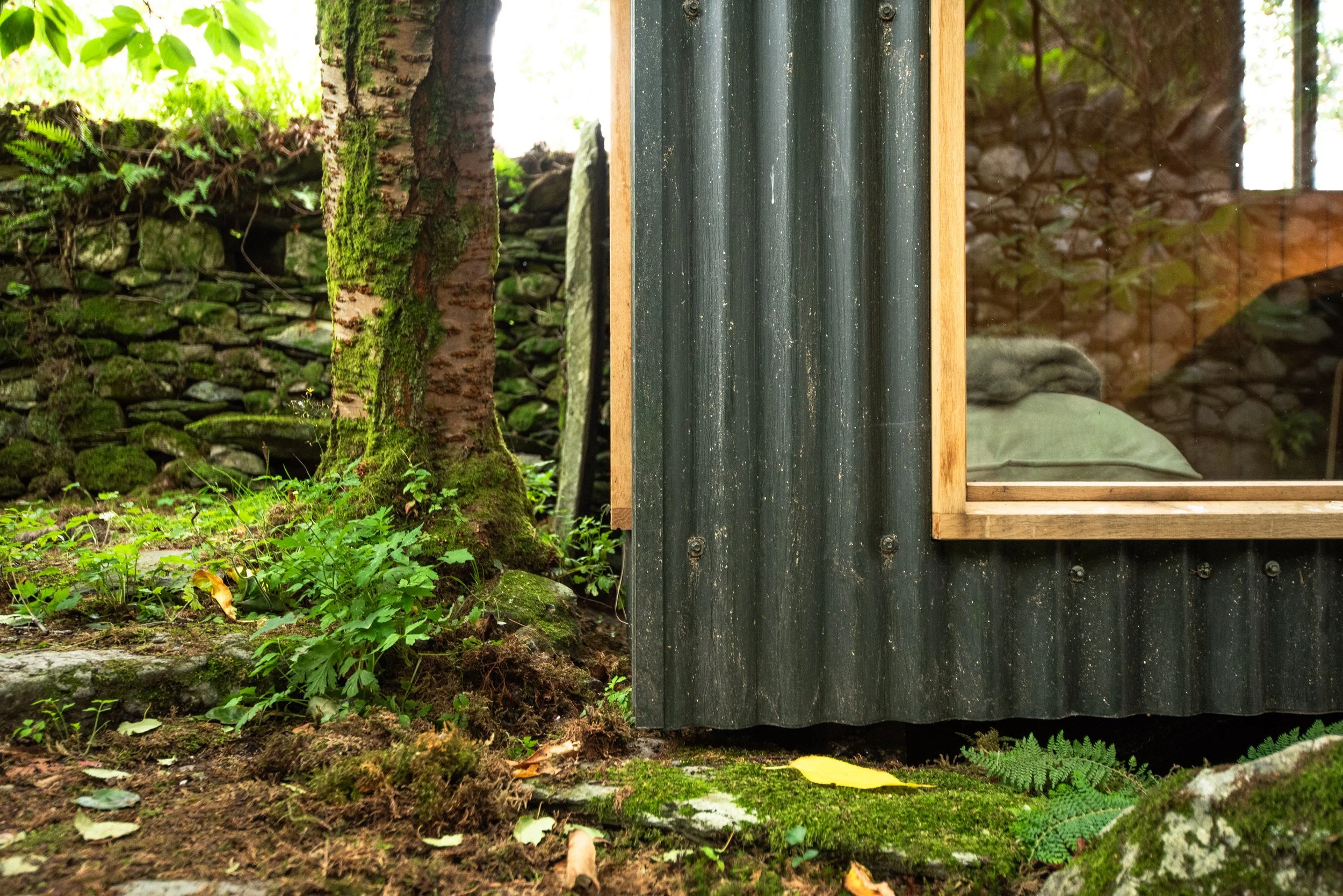 fig-garden-room-exterior.jpg
