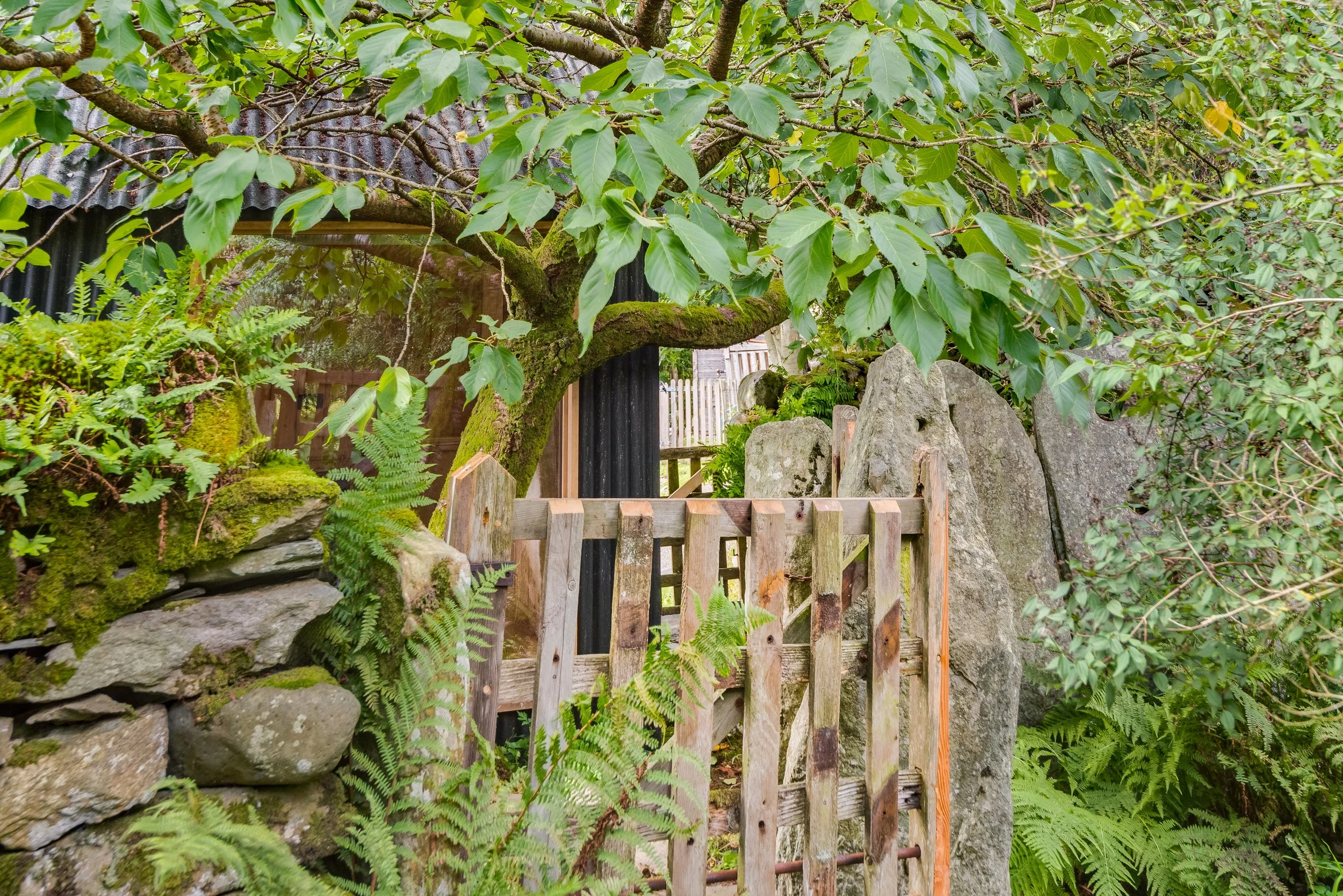 Lake District, Studio-18.jpg
