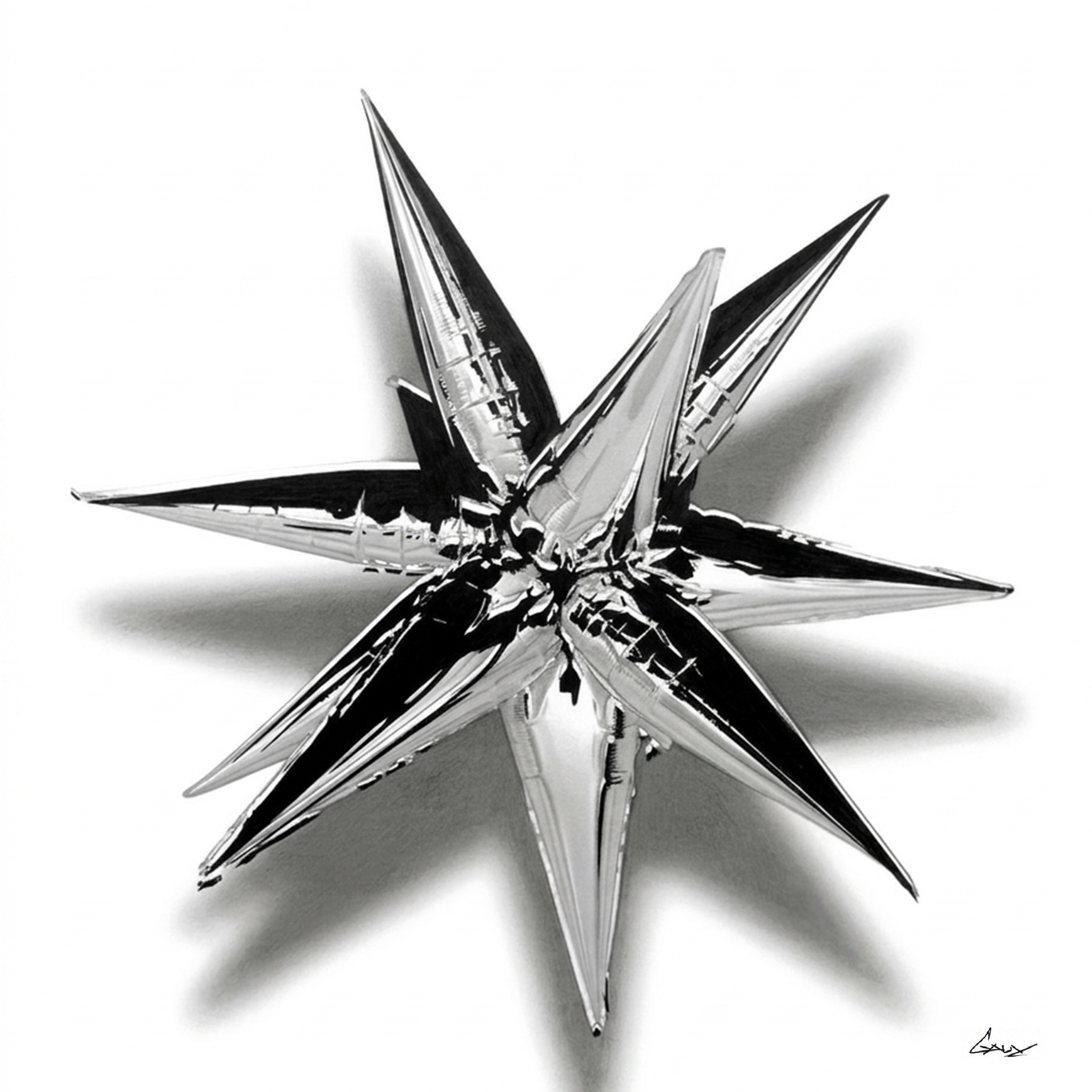 SHINING+STAR_WEB.png