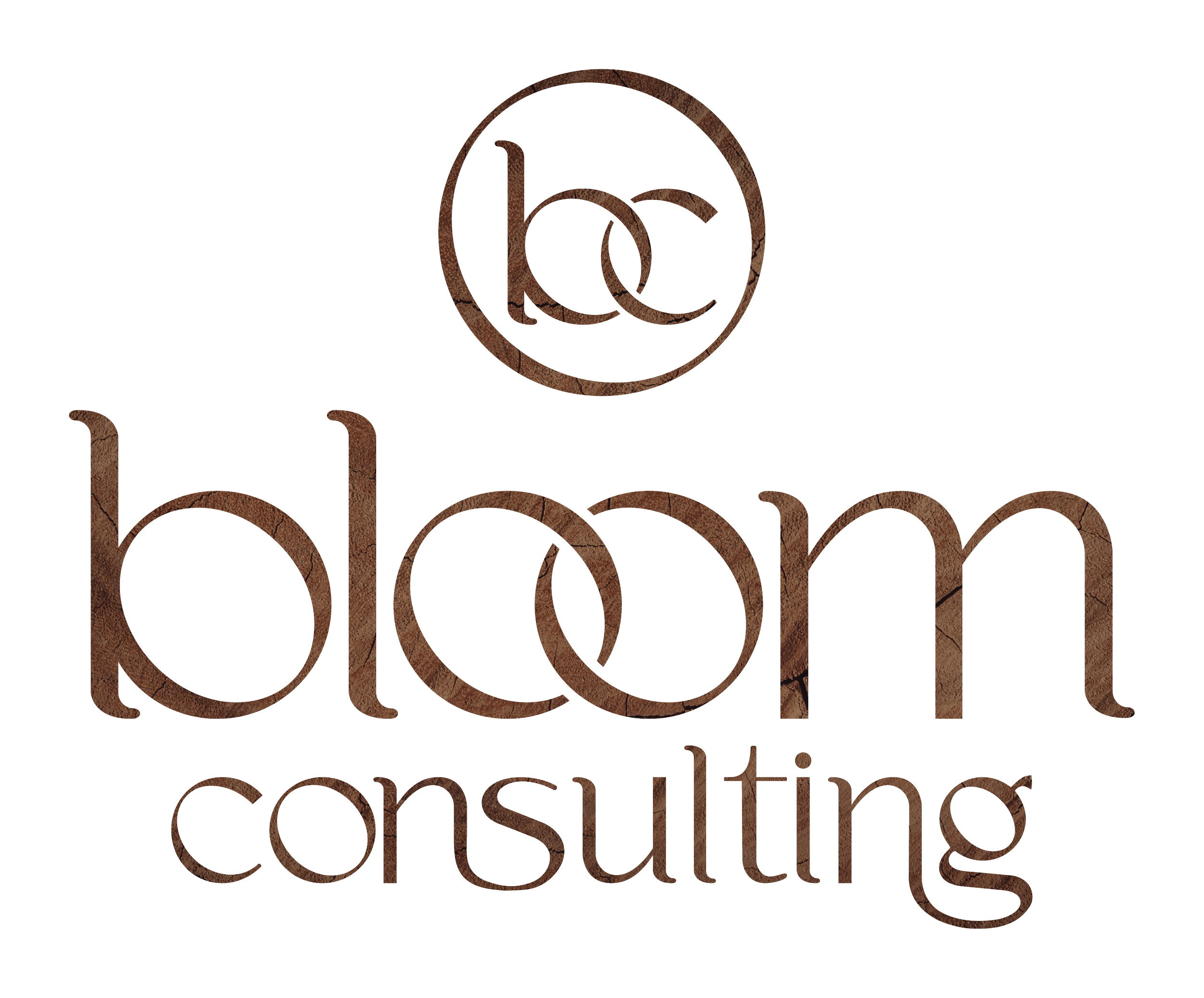 Bloom Consulting secondary logo with wood background