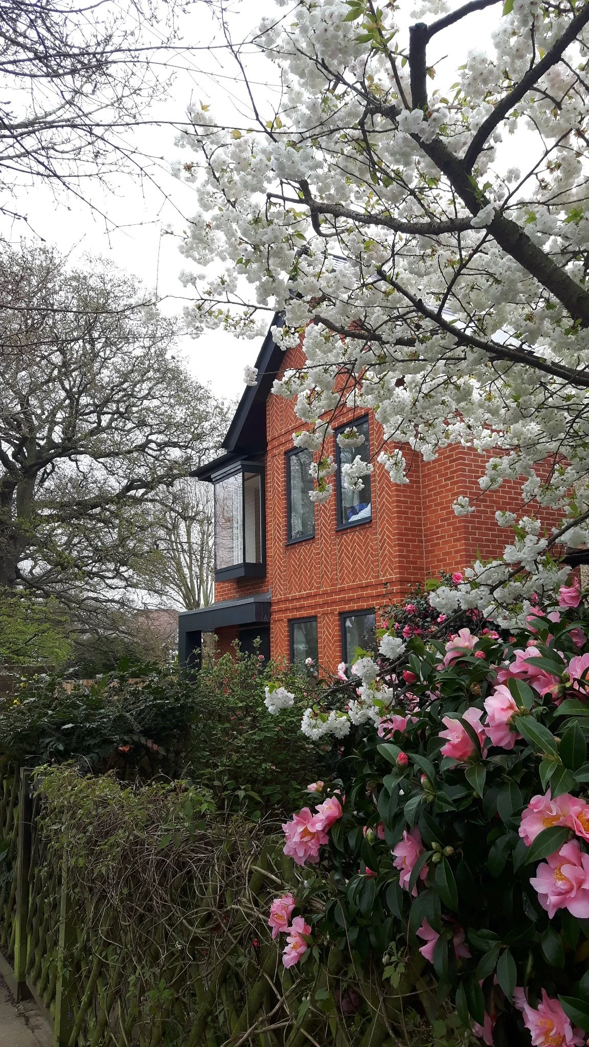 A brick house with large windows surrounded by flowering trees and bushes.