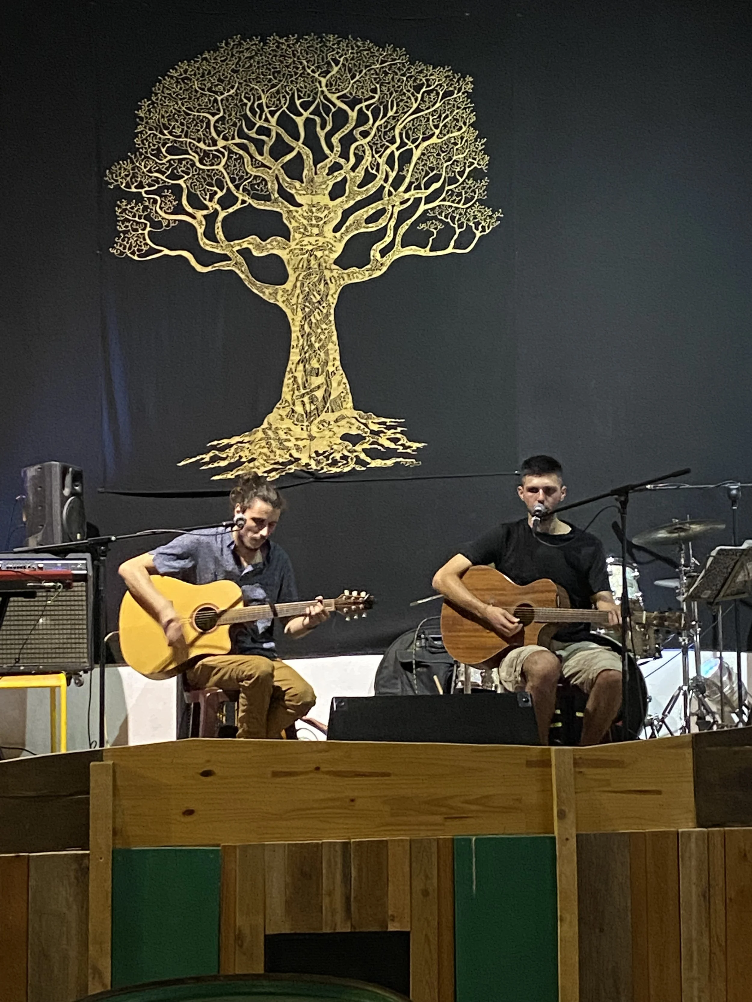 Deux hommes jouent de la guitare acoustique lors d'une performance, assis côte à côte sur scène, devant un mur noir avec une décoration en forme d'arbre doré.