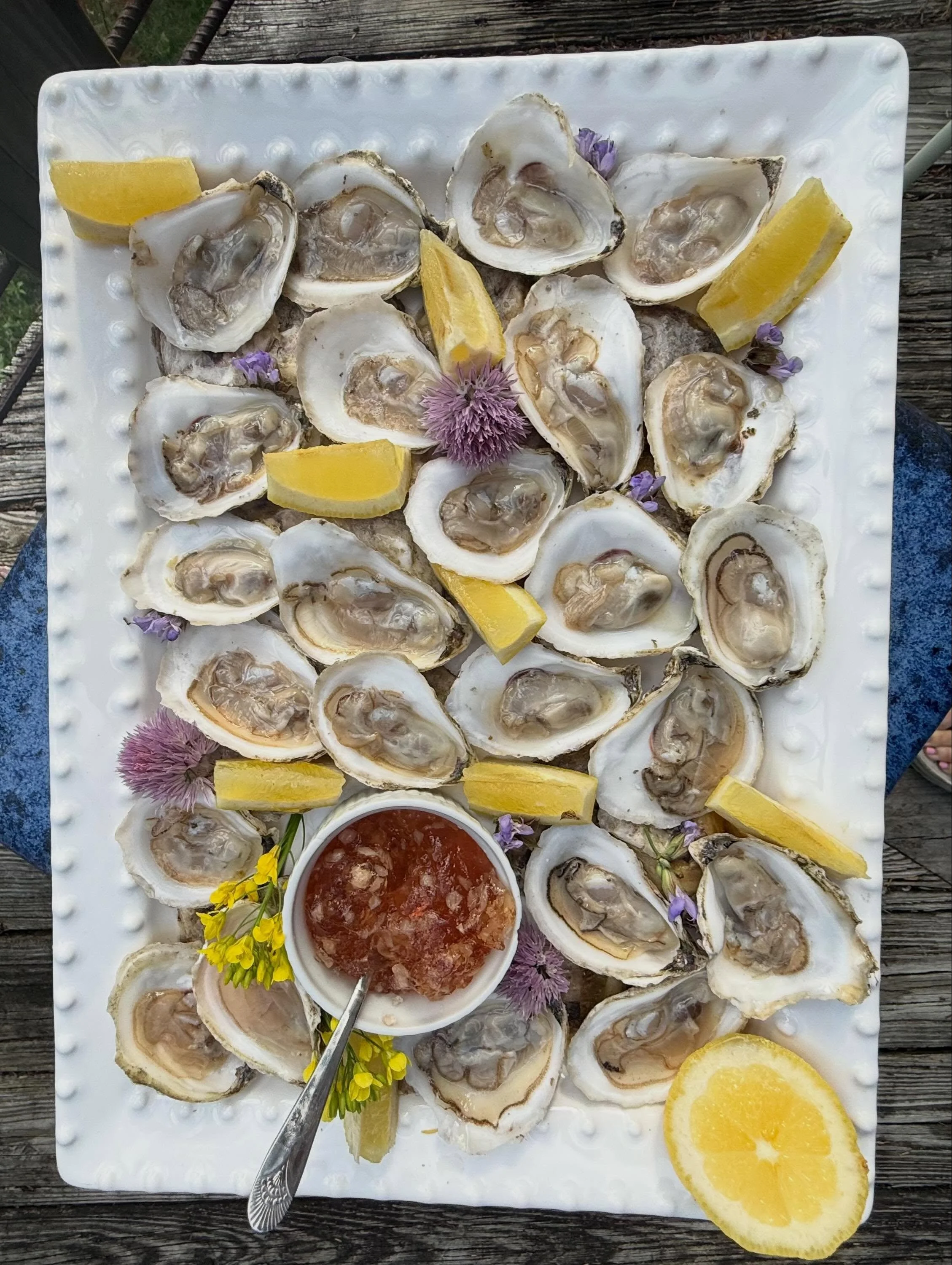 Petit Manon with mignonette jelly and chive blossoms. Early summer on a plate 🍋

#oystergirl #oysterbar #summernights🌙 #chiveblossoms #partyplannersnyc