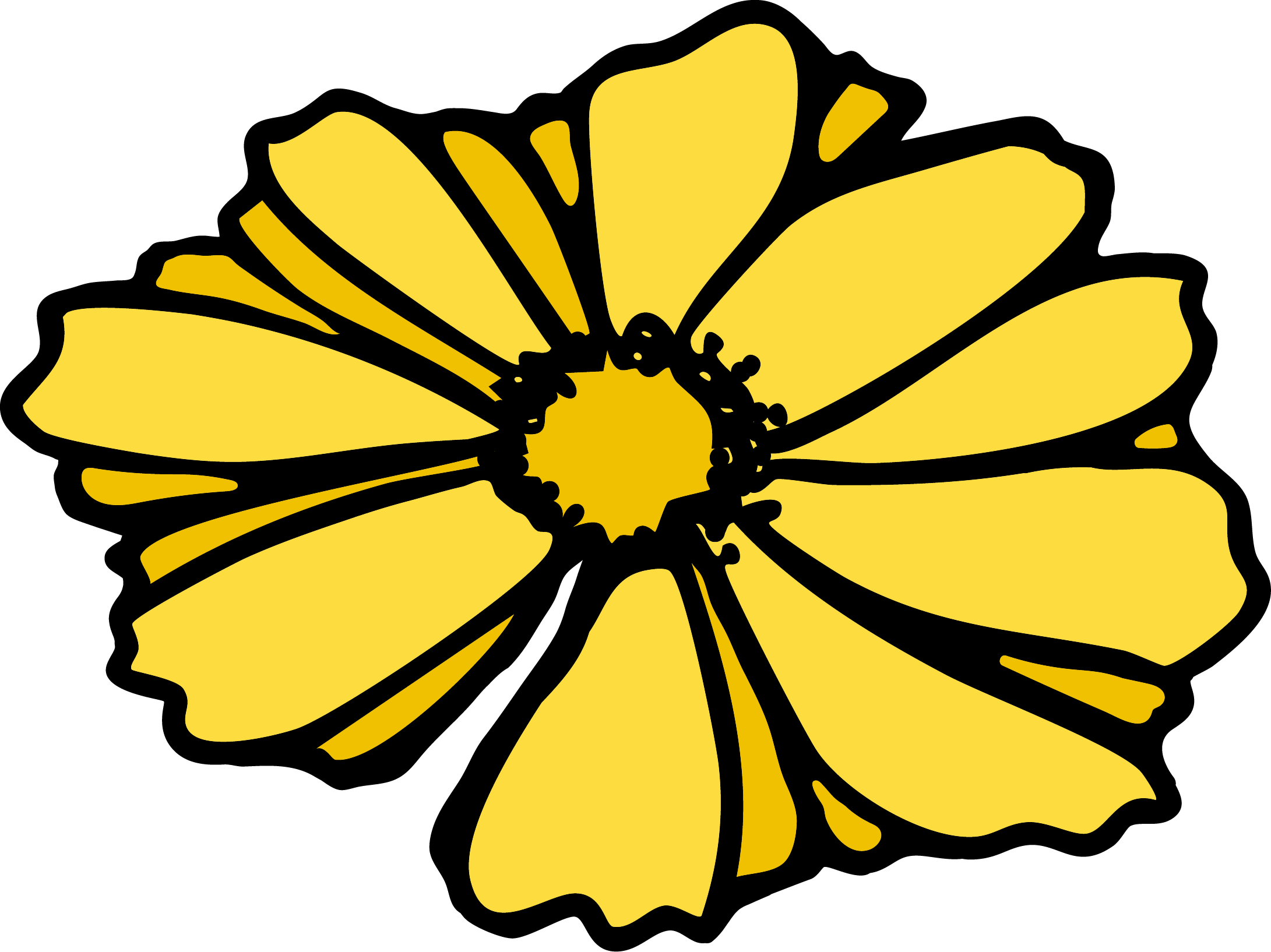 wild bloom poetry festival