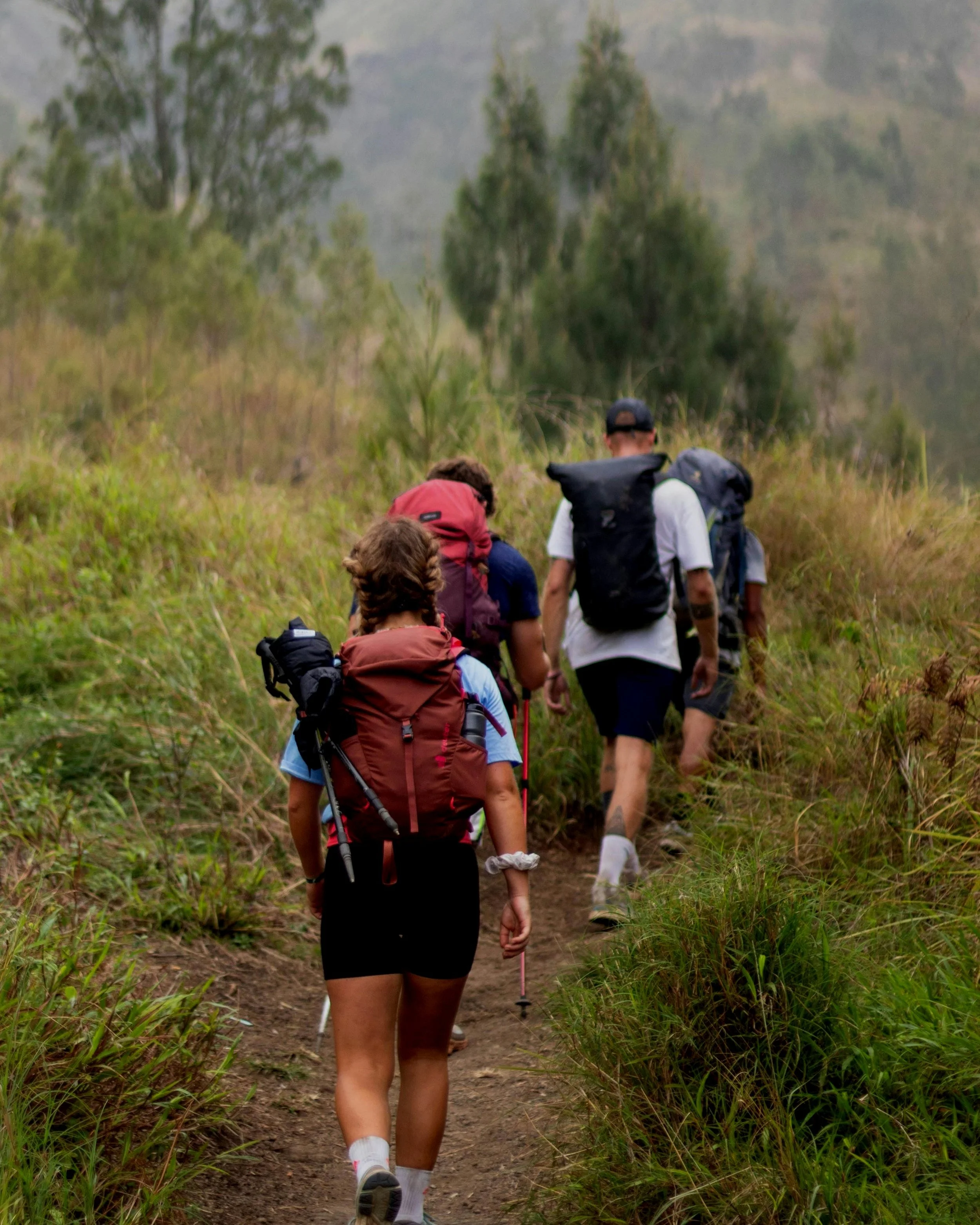A group of hikers walking on a dirt trail through a grassy, wooded area with trees in the background.
