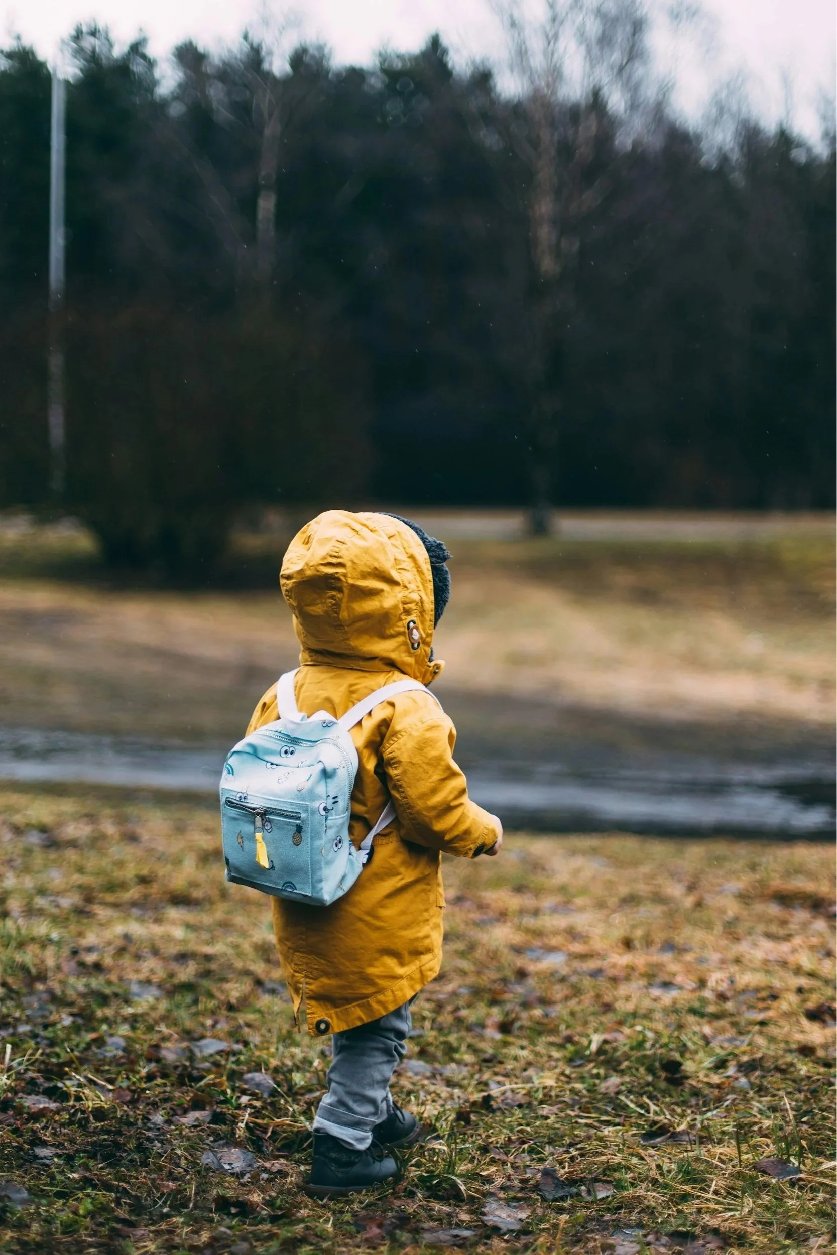 A young child dressed in a yellow raincoat and gray pants, carrying a light blue backpack with cartoon designs, standing outdoors on a leaf-covered ground. The child is facing away from the camera, looking toward a line of trees in the distance.