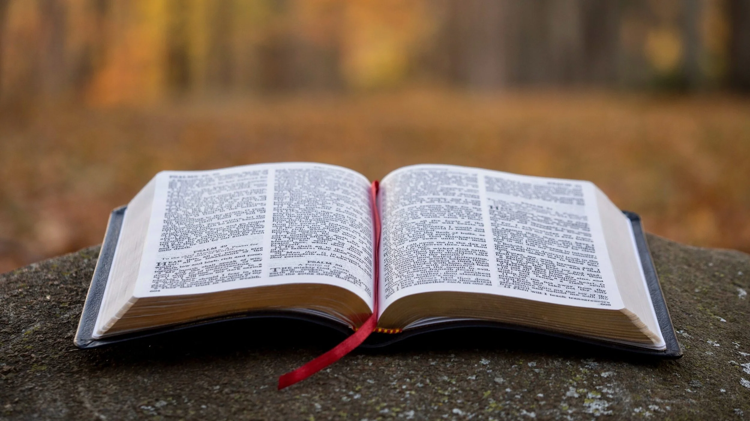Thursday Bible Seminar 