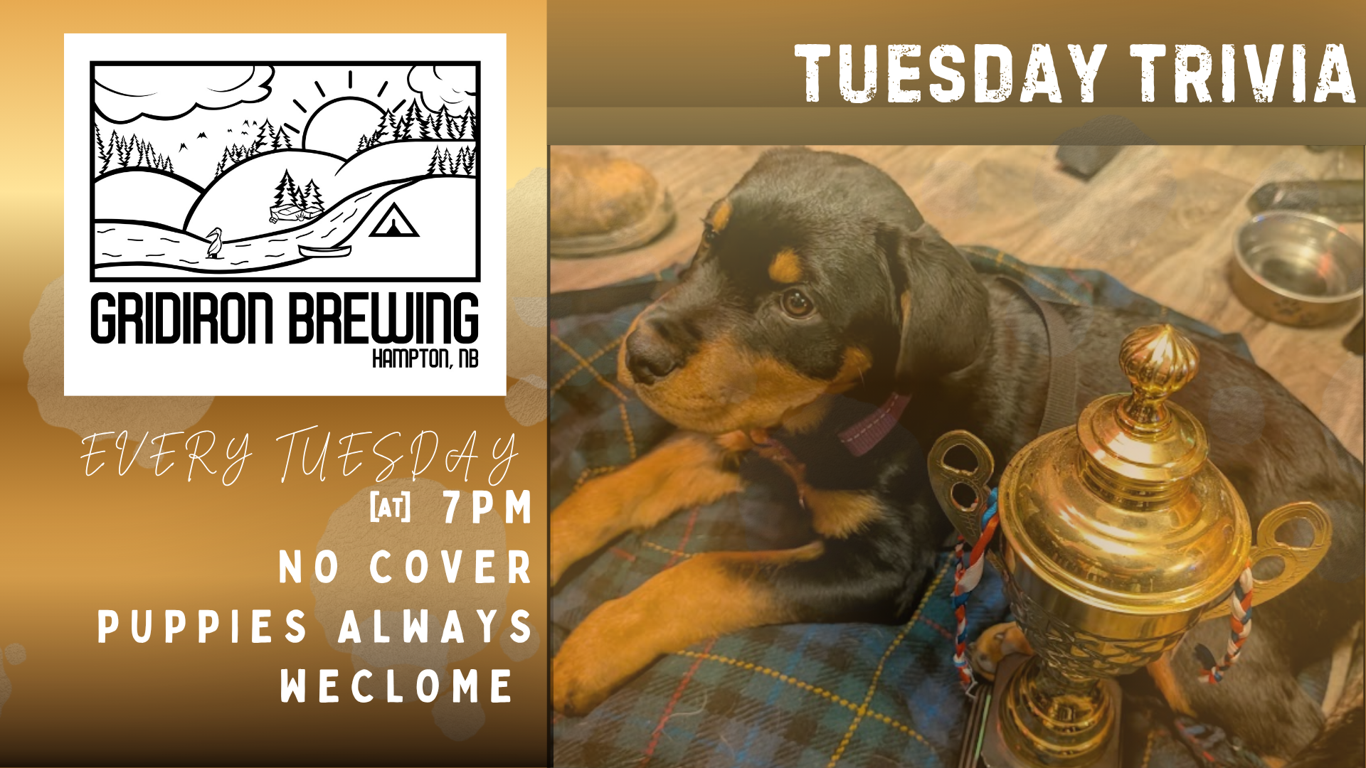Tuesday Trivia 
