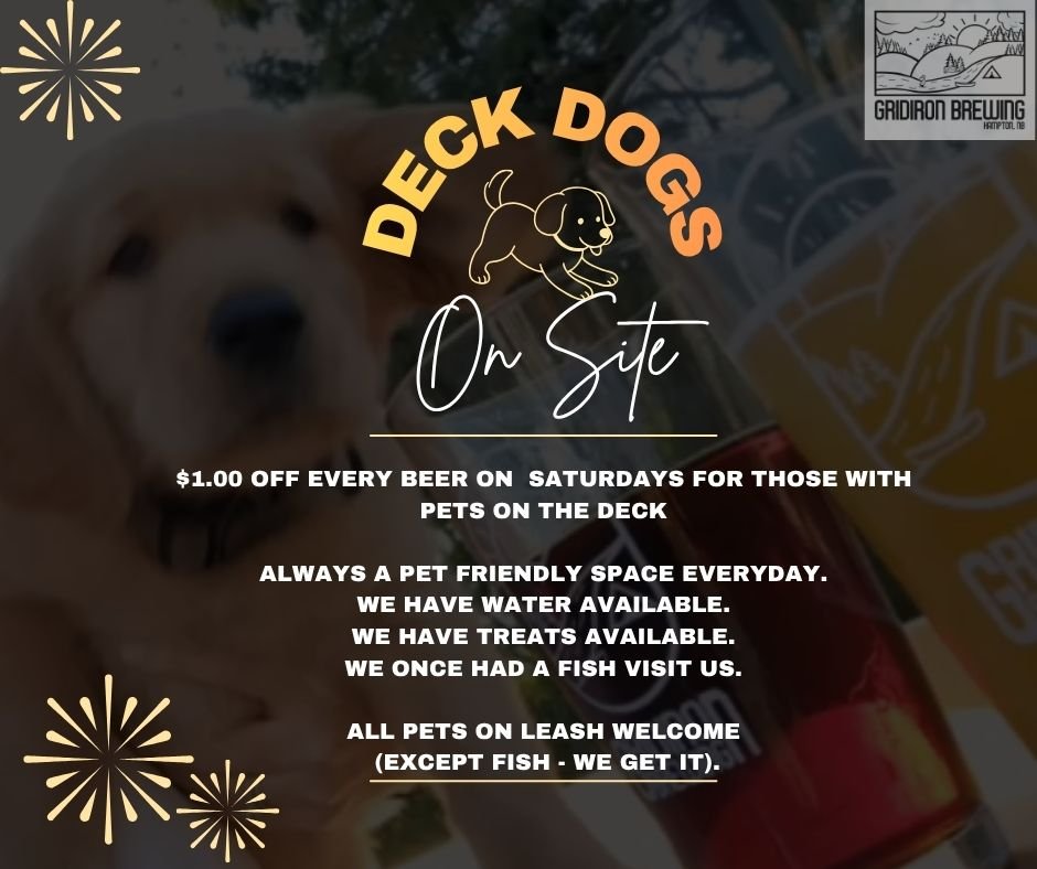 Deck Dogs 