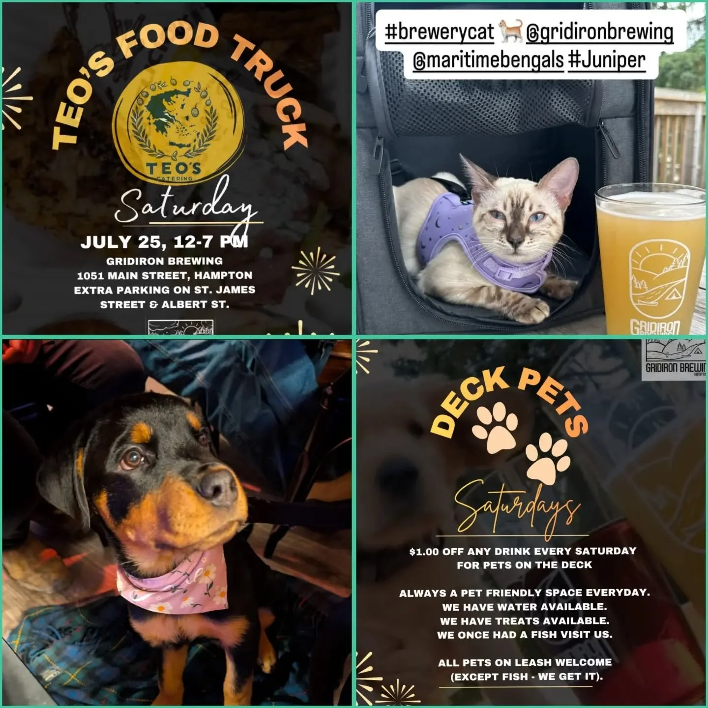 @teosfood_truck is here on SATURDAY! Just in time for #BloomingArtists in Hampton. Remember, if you have a pet on the deck, you get $1.00 off of your drink (alcoholic or non-alcoholic) on Saturday. #foodtrucks #Hampton #brewery #beer