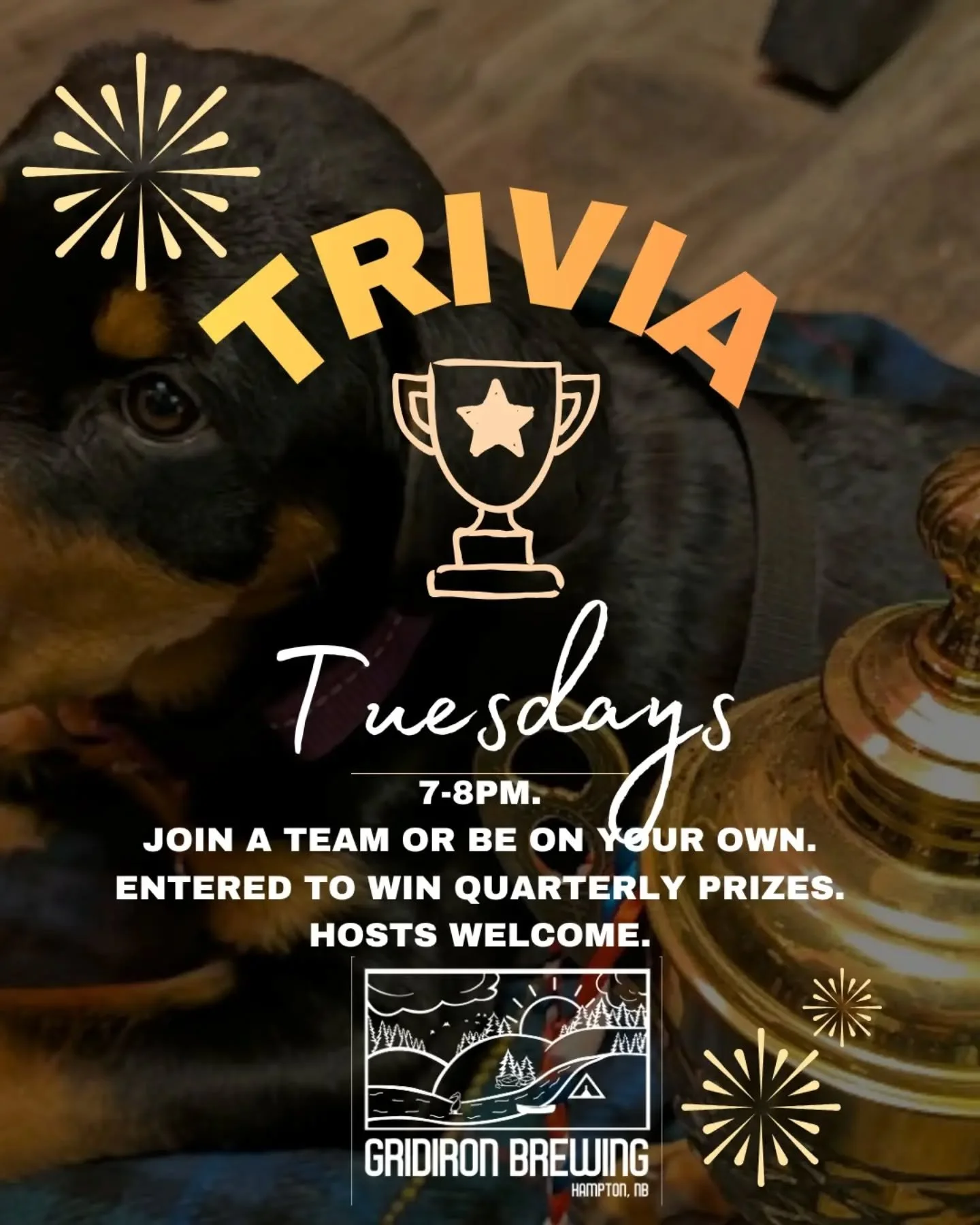 Tonight we have #TuesdayTrivia. Come earn points for your team weekly for a gift certificate to #GridironBrewing #brewery #trivia #Hampton

📍1051 Main Street, Hampton, NB
🅿️ Parking in site or close by on St. James Street and Albert Street
🐾 Pets 