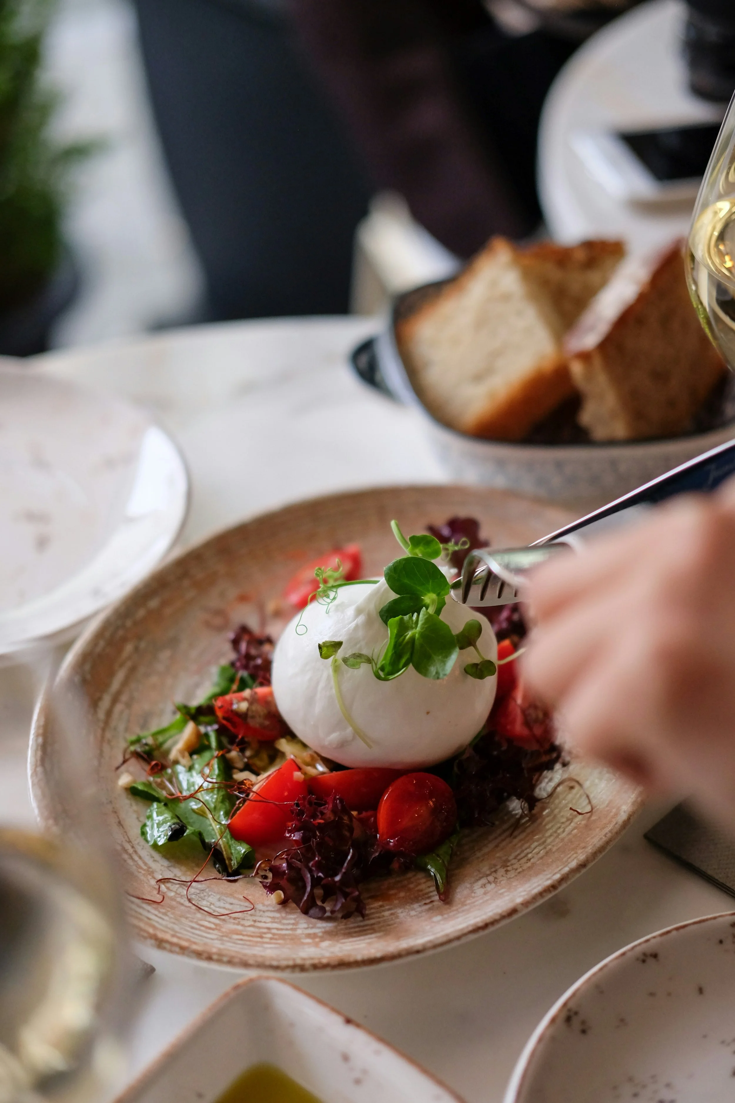 Burrata Splurge