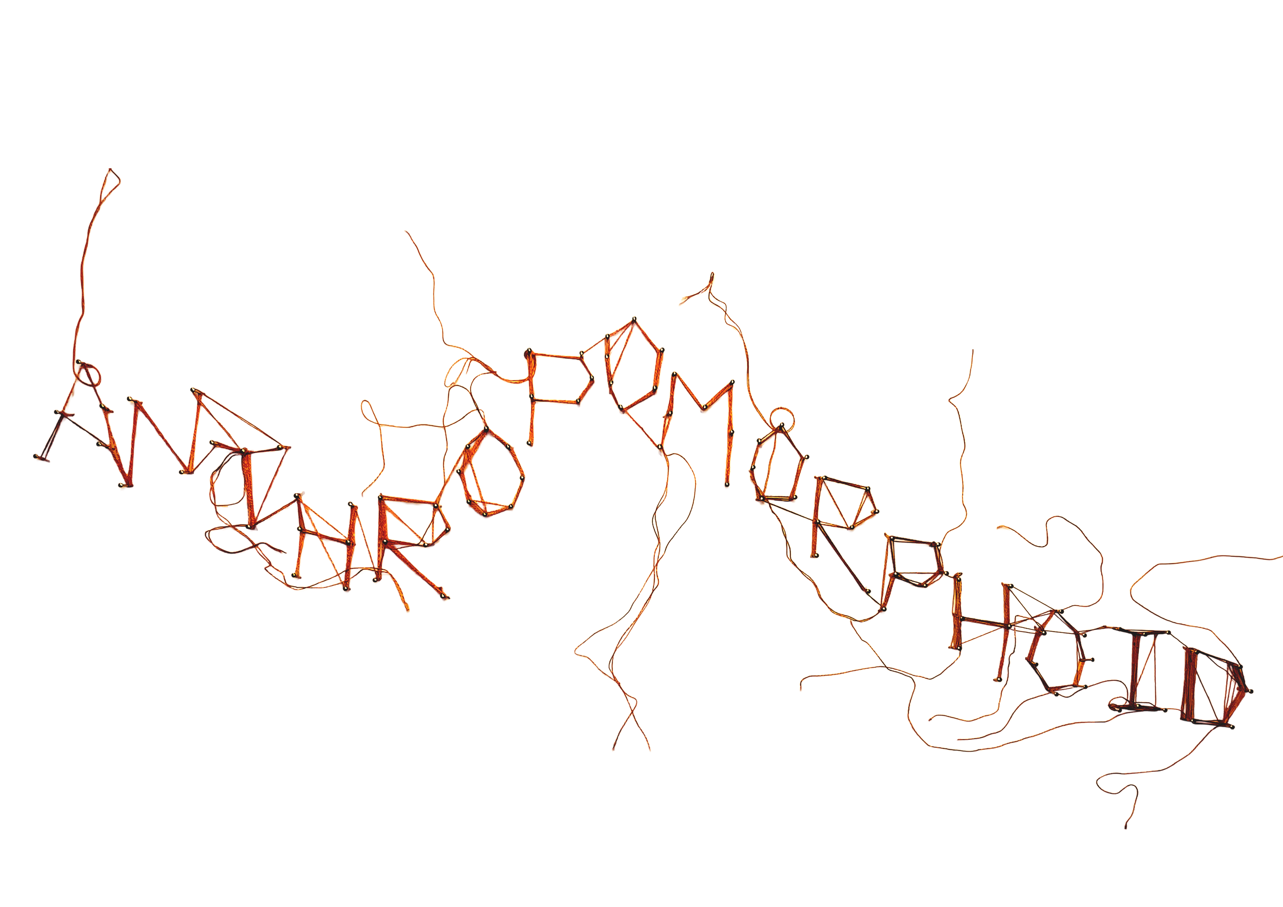 Anthro type 5 (type only).png