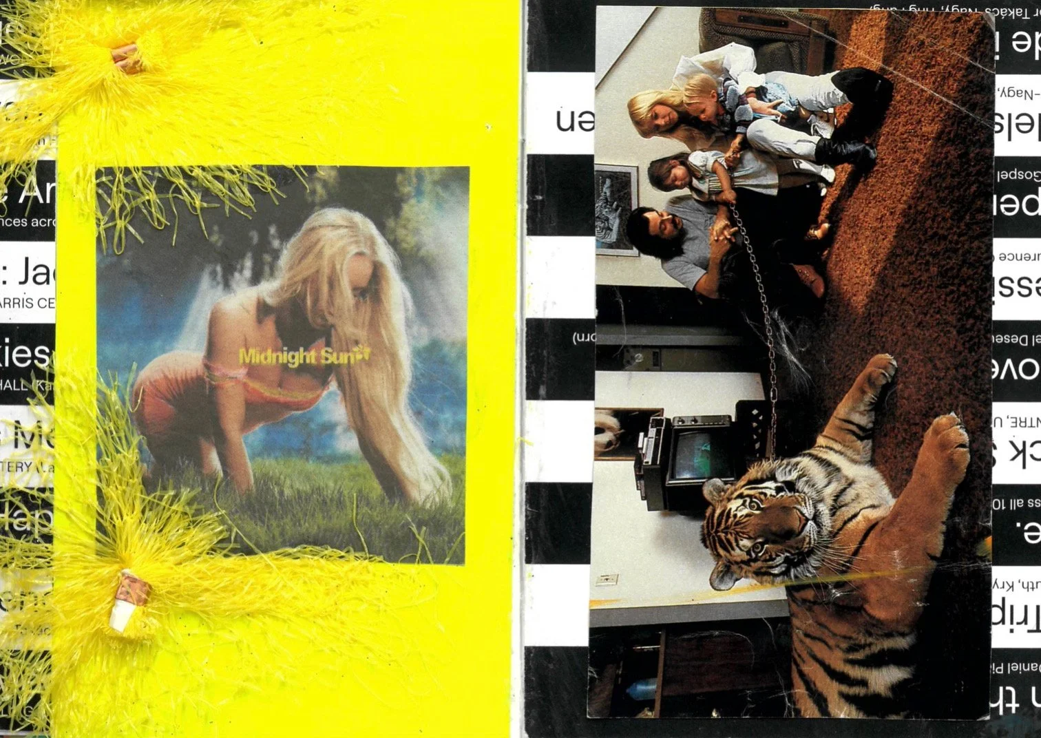 Scrap Collage - magazine, fruit nets