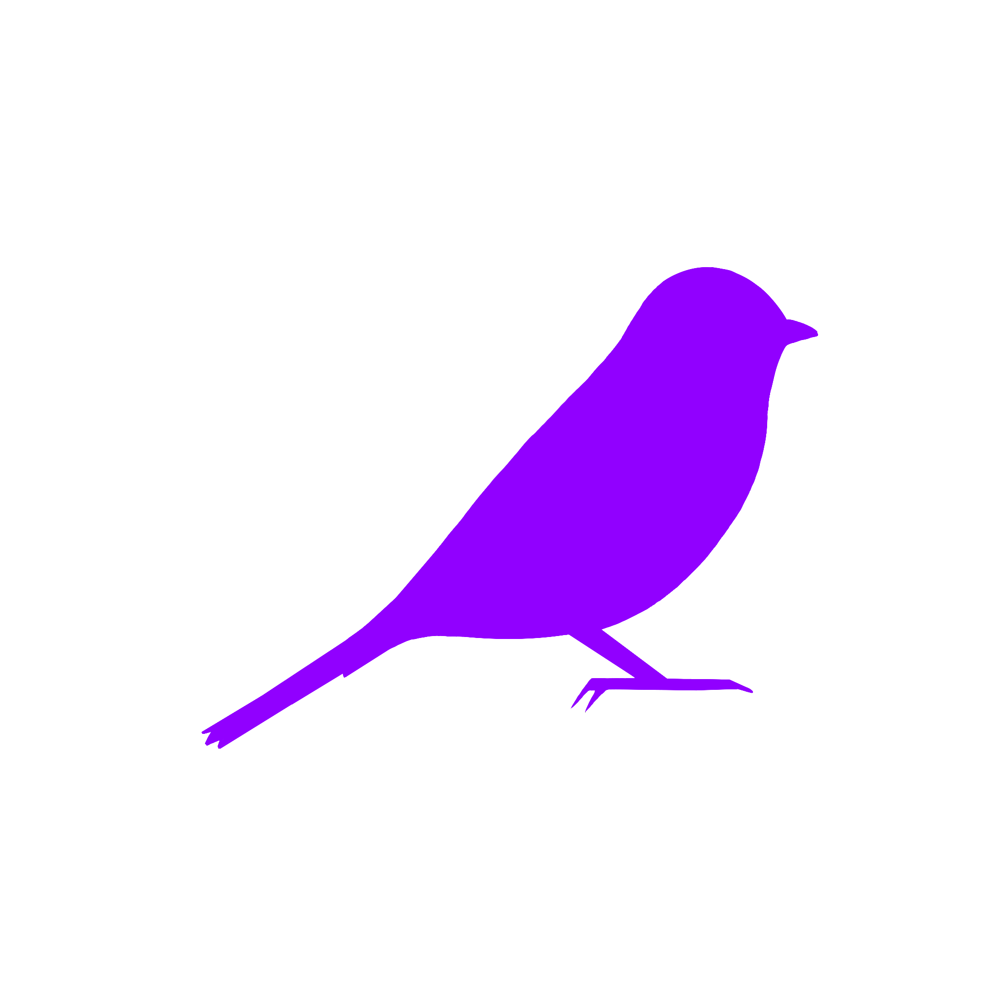 A silhouette of a bird in purple on a black background.