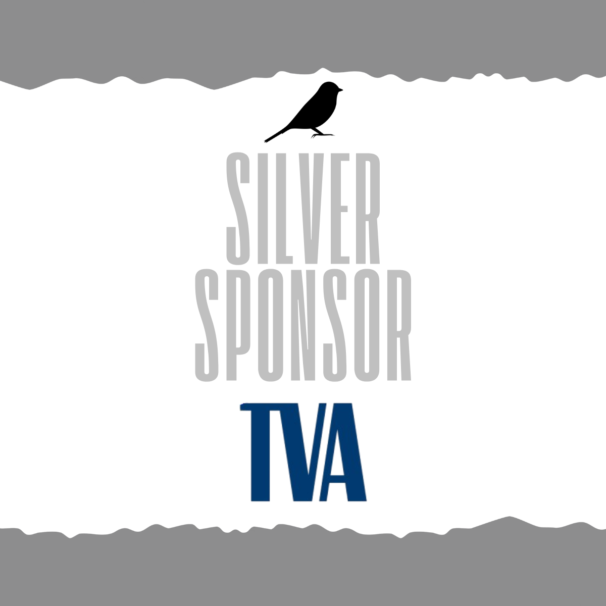 A graphic with a silhouette of a bird, the words 'Silver Sponsor' in large gray letters, and 'VA' in bold blue letters, on a torn paper-like background.