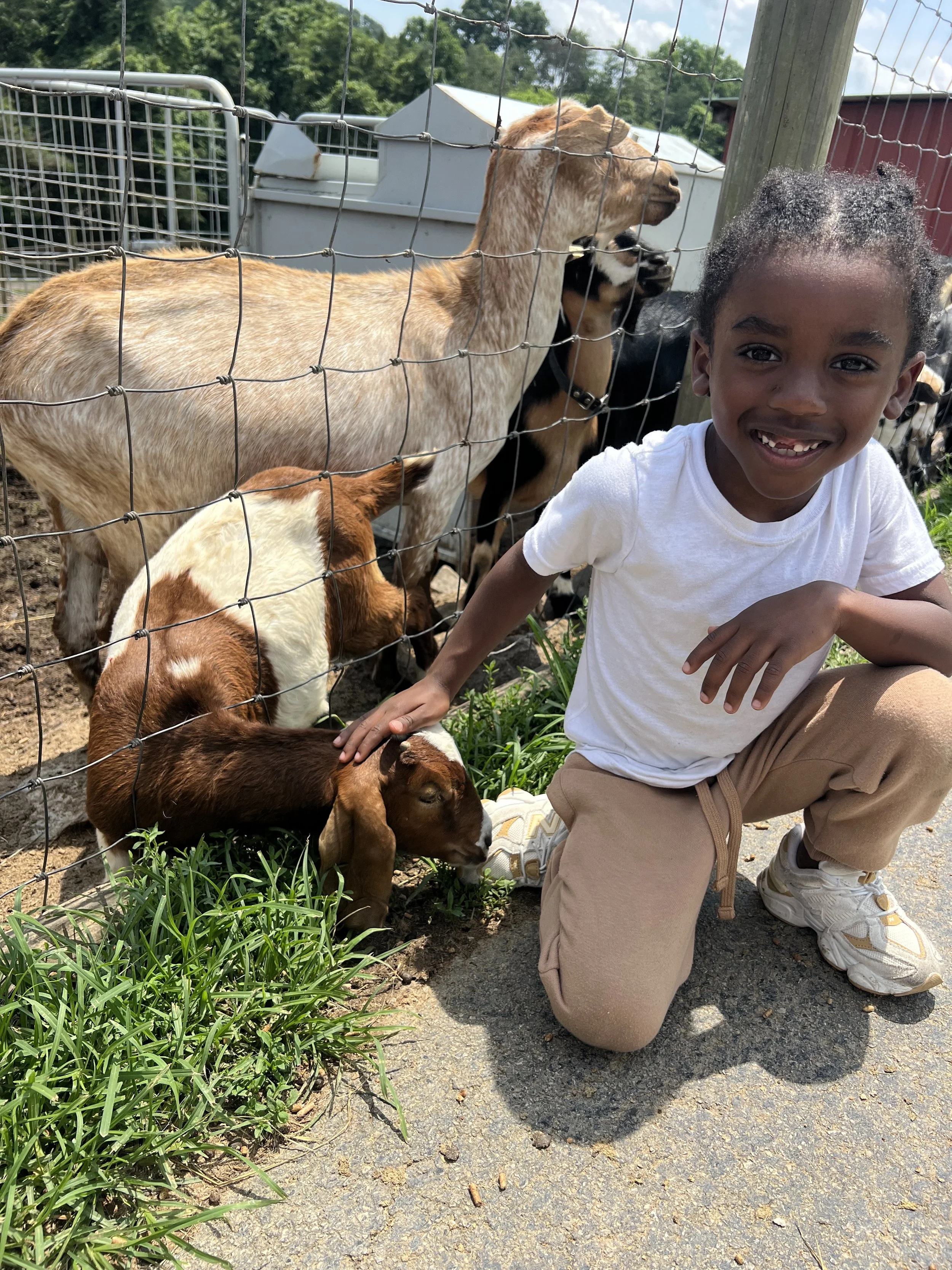 A smiling young girl kneeling on the ground and petting a brown and white puppy, with miniature goats behind a wire fence at an outdoor petting zoo.