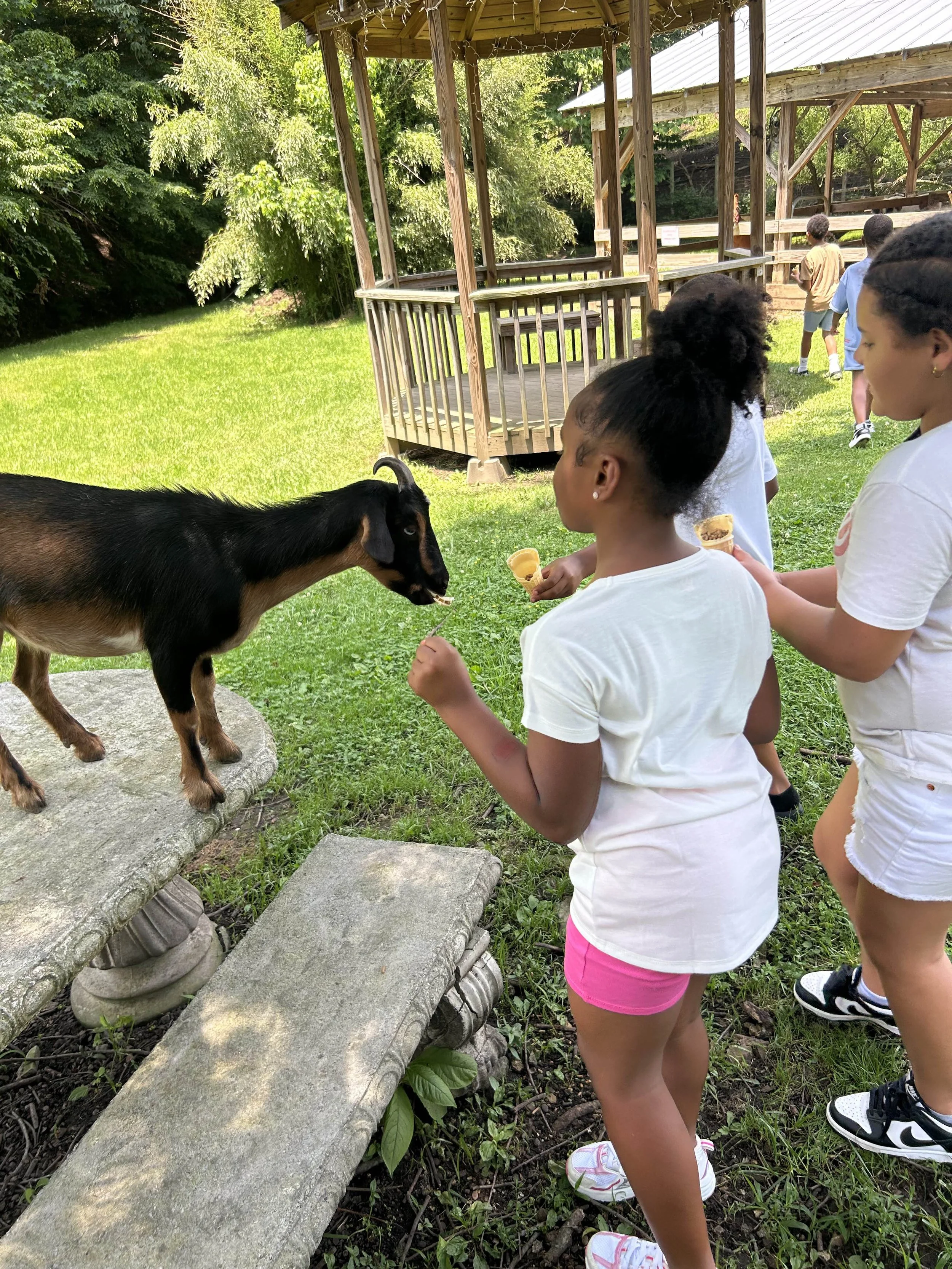 Children feeding a goat in an outdoor park area with greenery and wooden structures in the background.