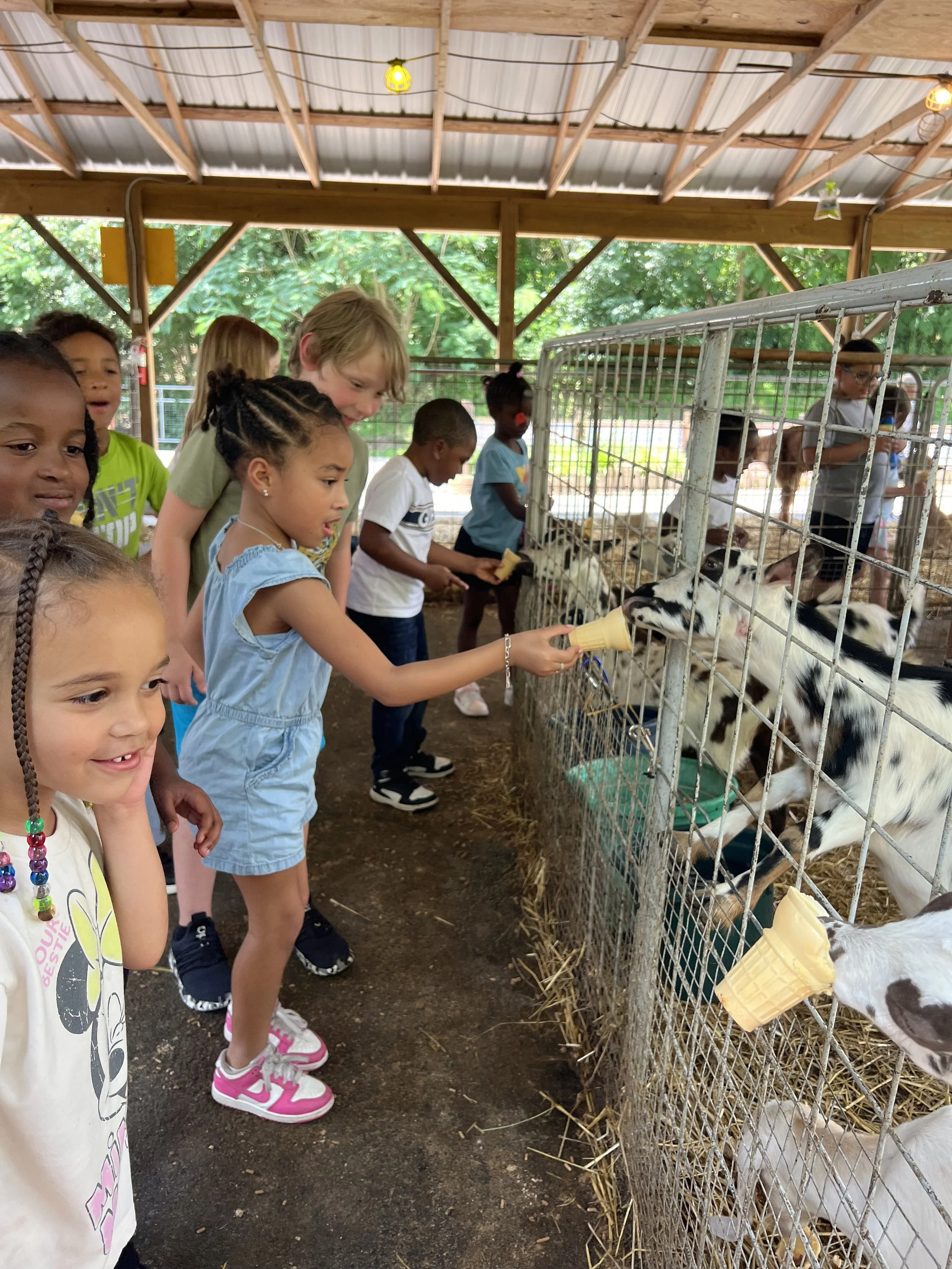 Children feeding goats through a fence at a petting zoo under a wooden shelter.