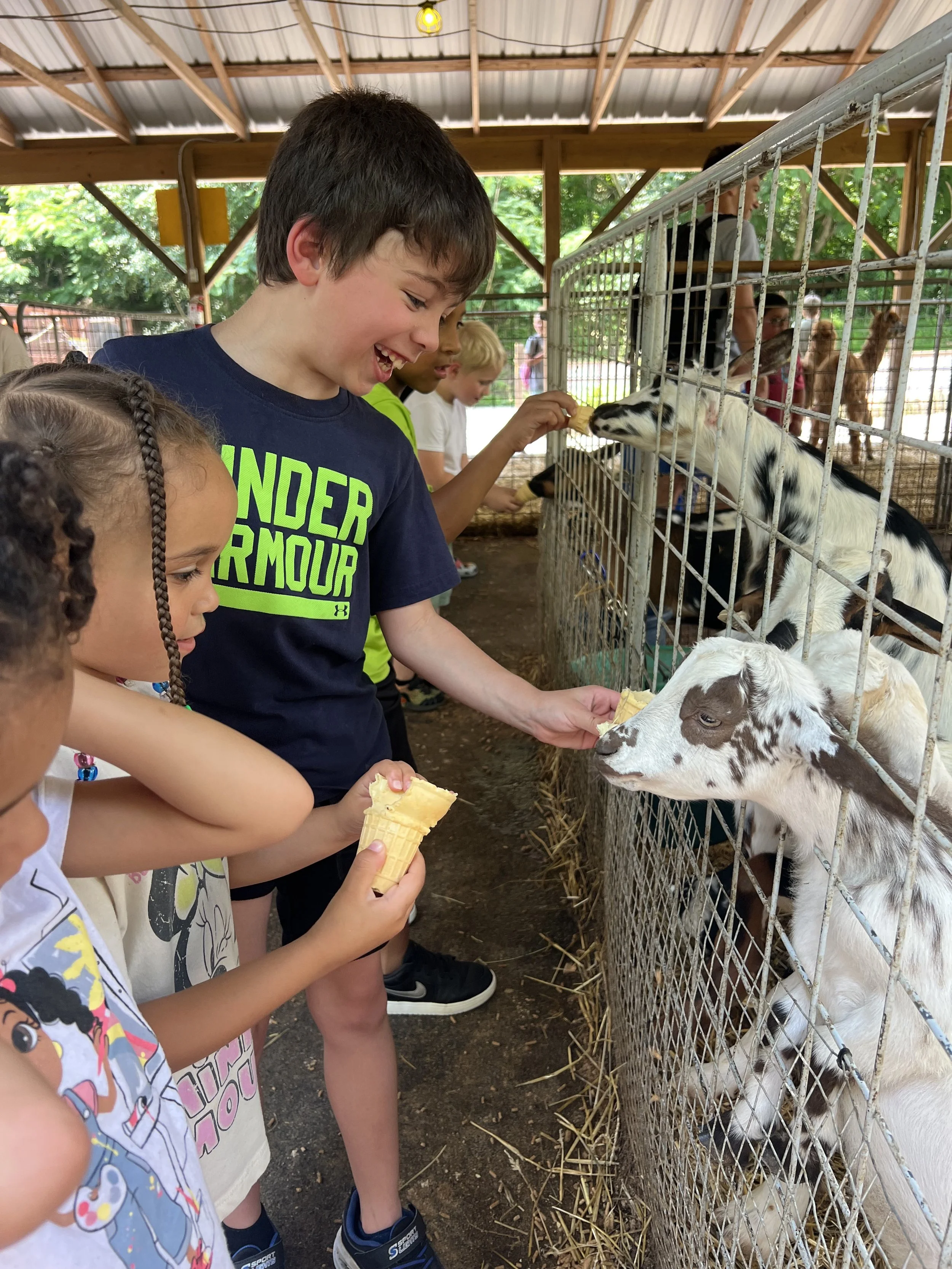 Children at a petting zoo feeding and holding ice cream cones while interacting with goats and a zebra behind a metal fence.