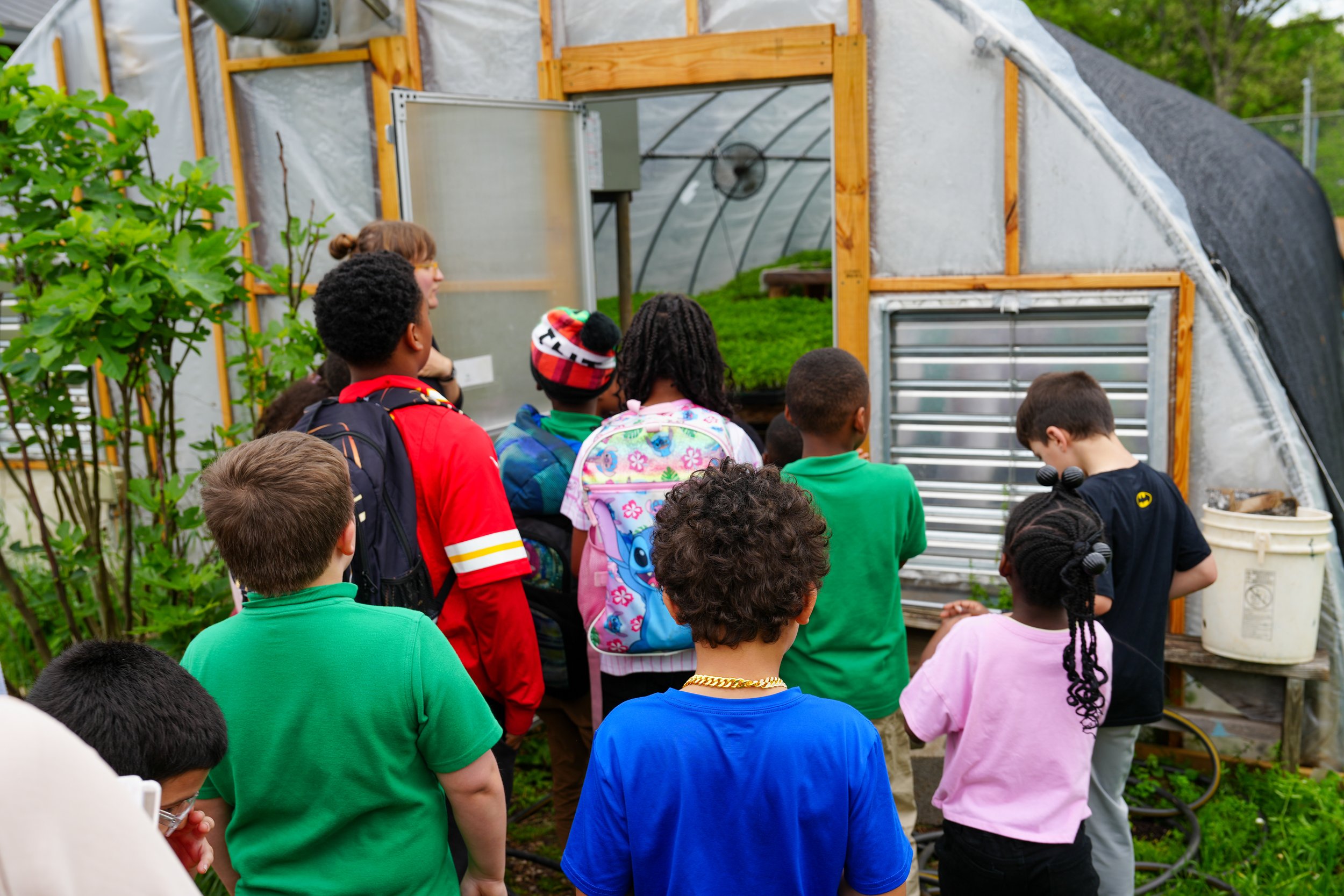 Group of children and a teacher inside a greenhouse, observing the plants and gardening area.