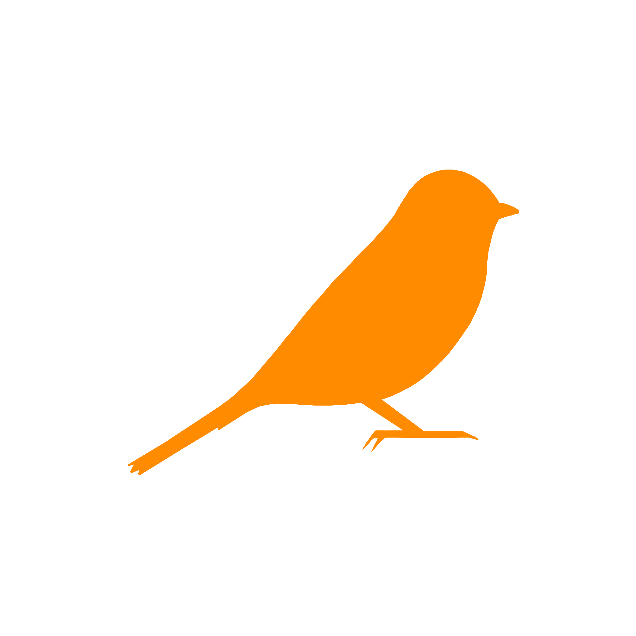 An orange silhouette of a bird with a long tail, facing to the right, on a black background.