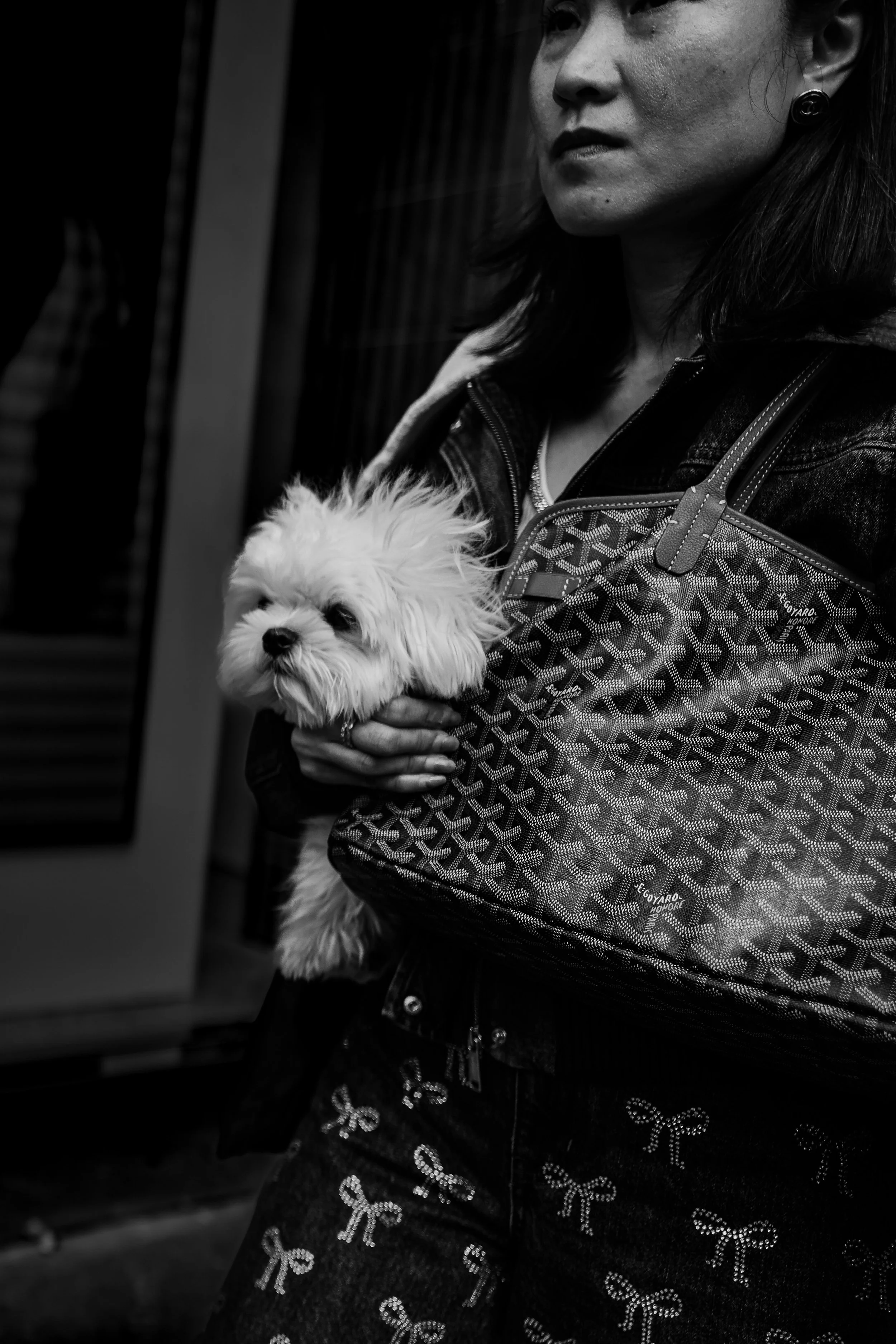 Untitled-3.jpg