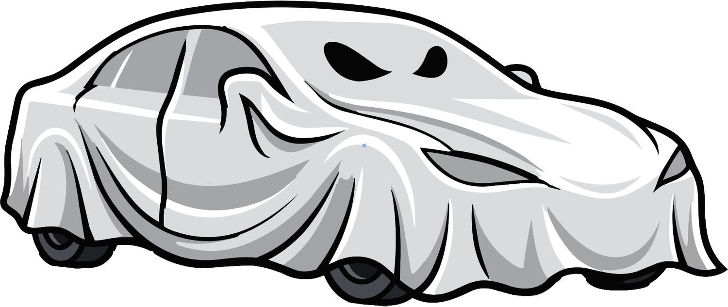 COSTUMES FOR CARS