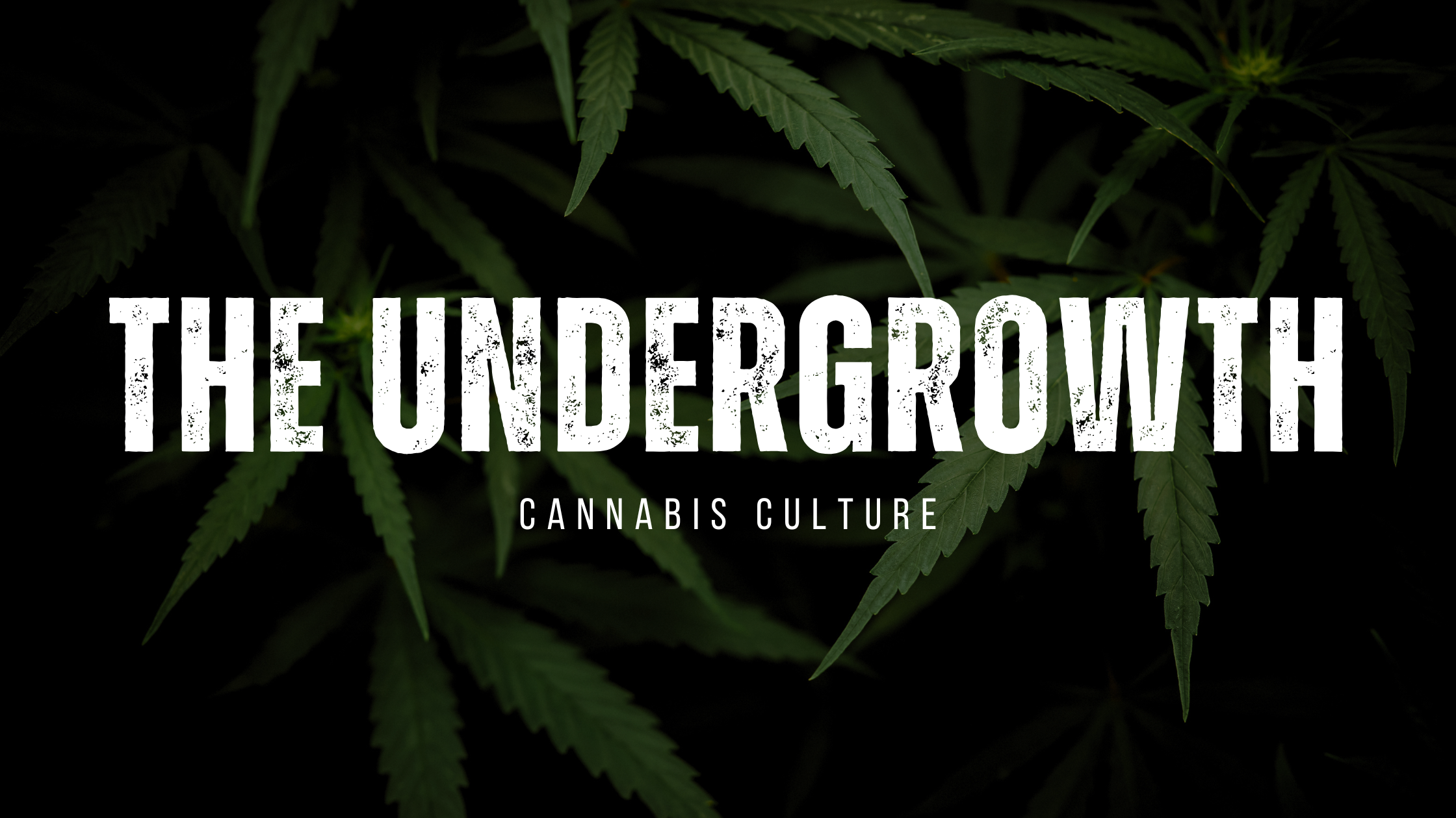 WELCOME TO THE UNDERGROWTH