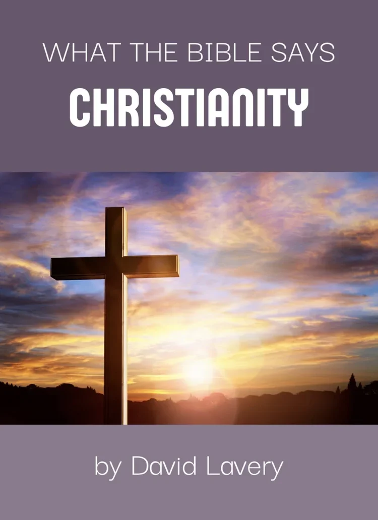 This booklet explains what a Christian is, how someone becomes one, and why Jesus said we must be born again, helping readers move beyond cultural assumptions and understand the call to follow Christ as true disciples.