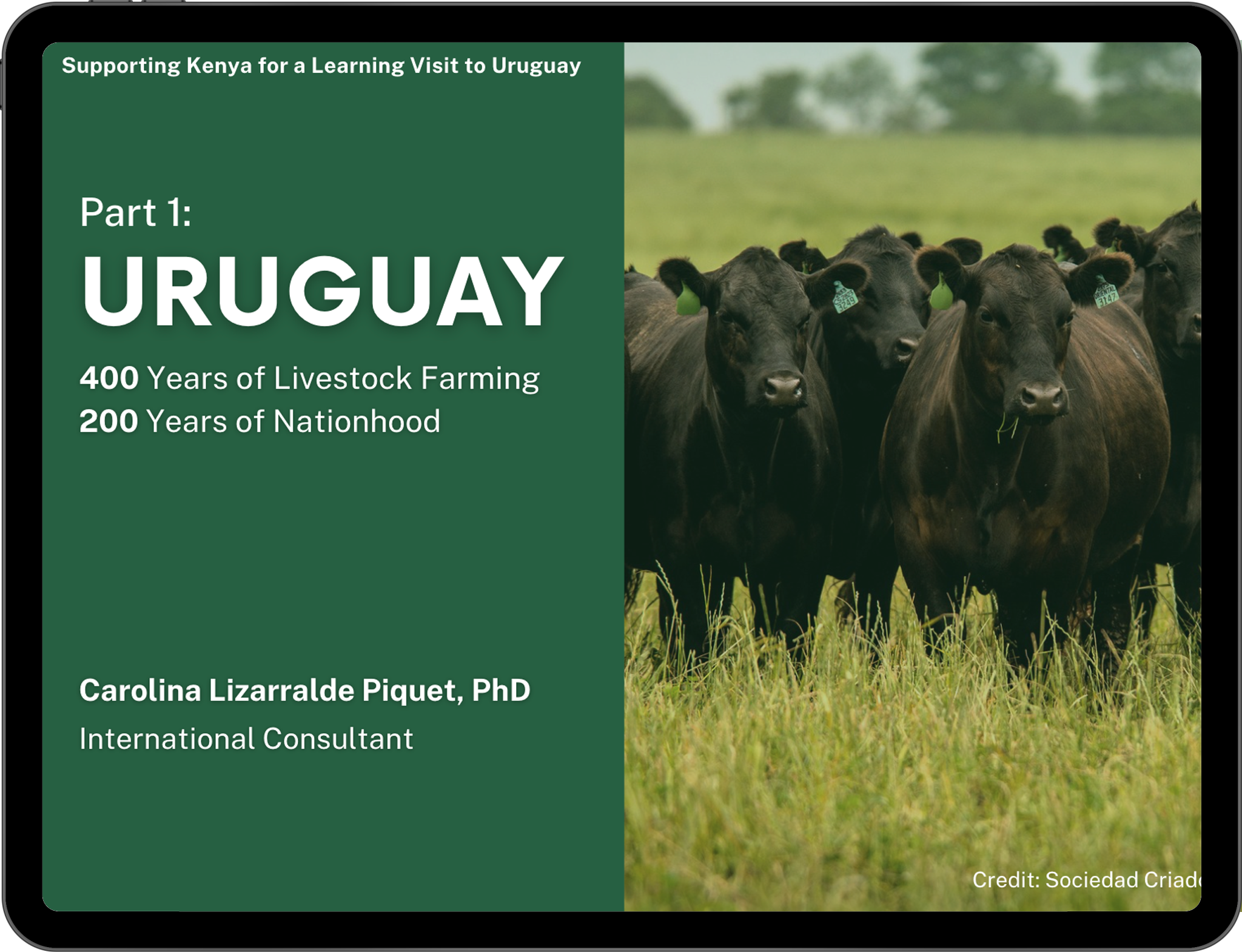 Uruguay: 400 years of livestock, 200 years of nation | Kenia