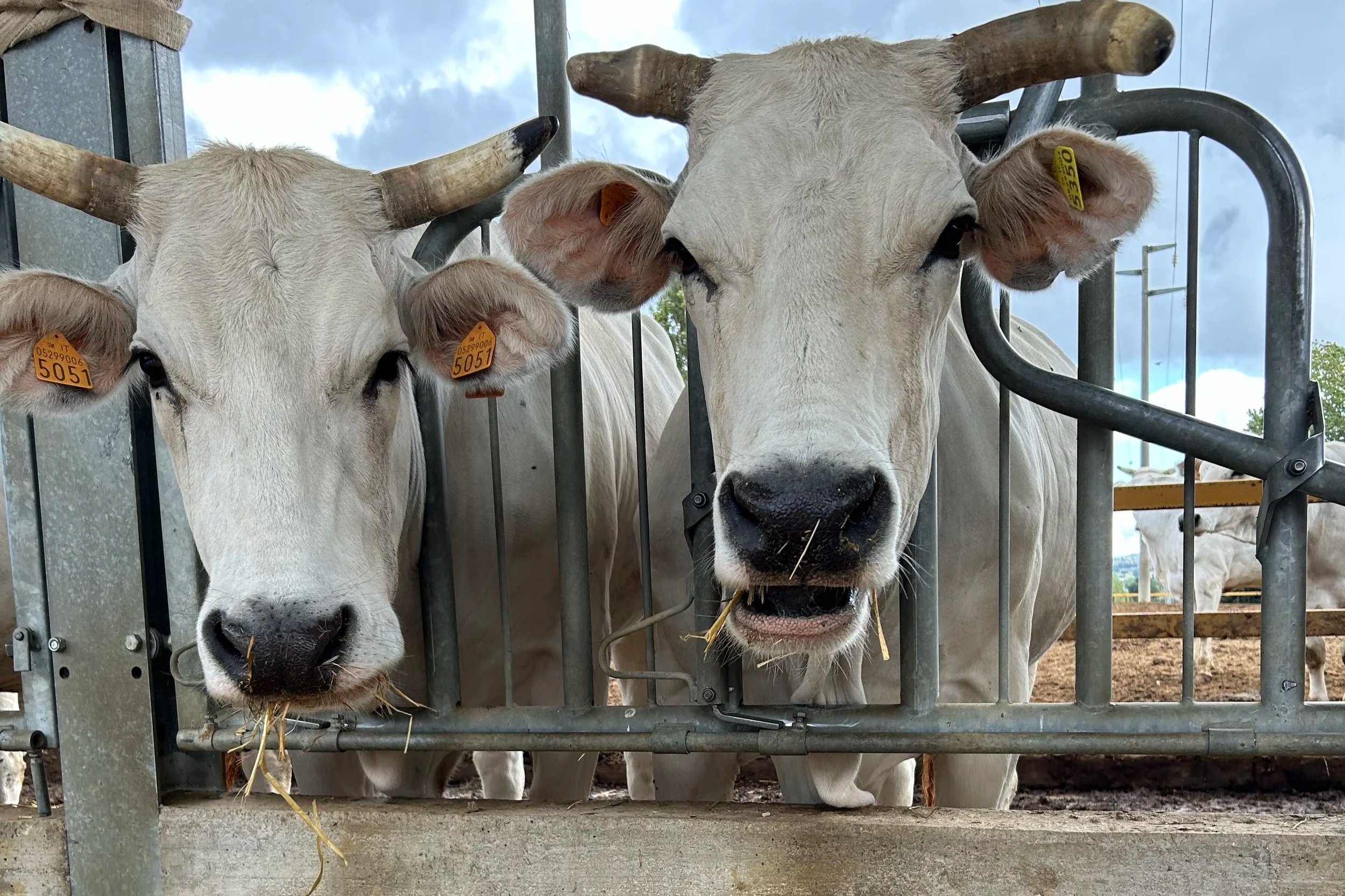 Insights from the European Federation of Animal Science (EAAP) Annual Meeting