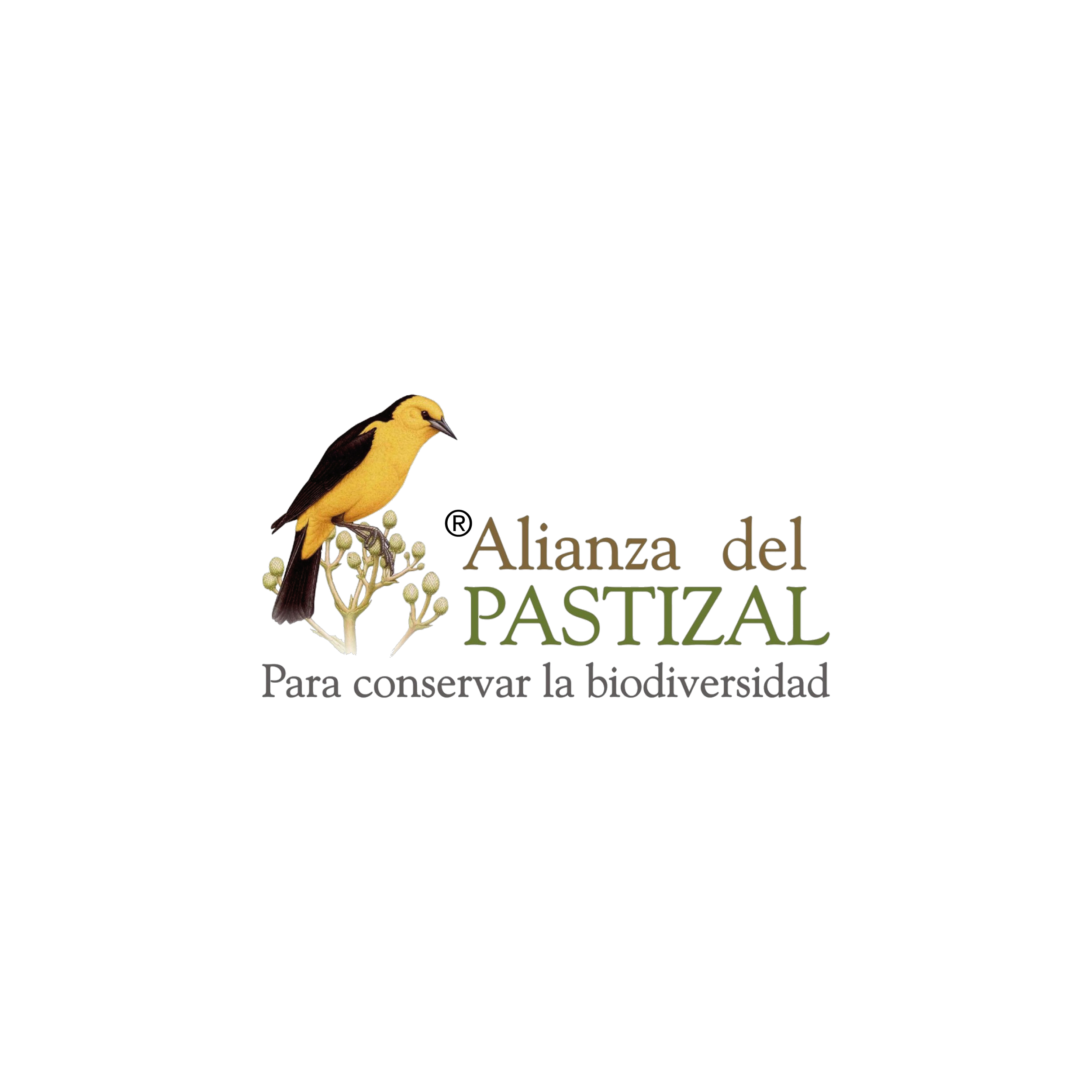 alianza-pastizal-logo.png
