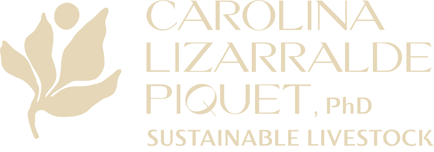 CAROLINA LIZARRALDE