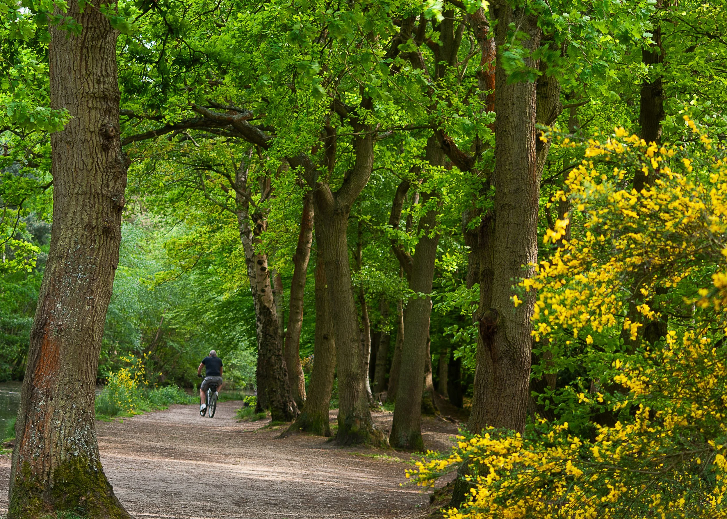 111 059- Cyclist.jpg