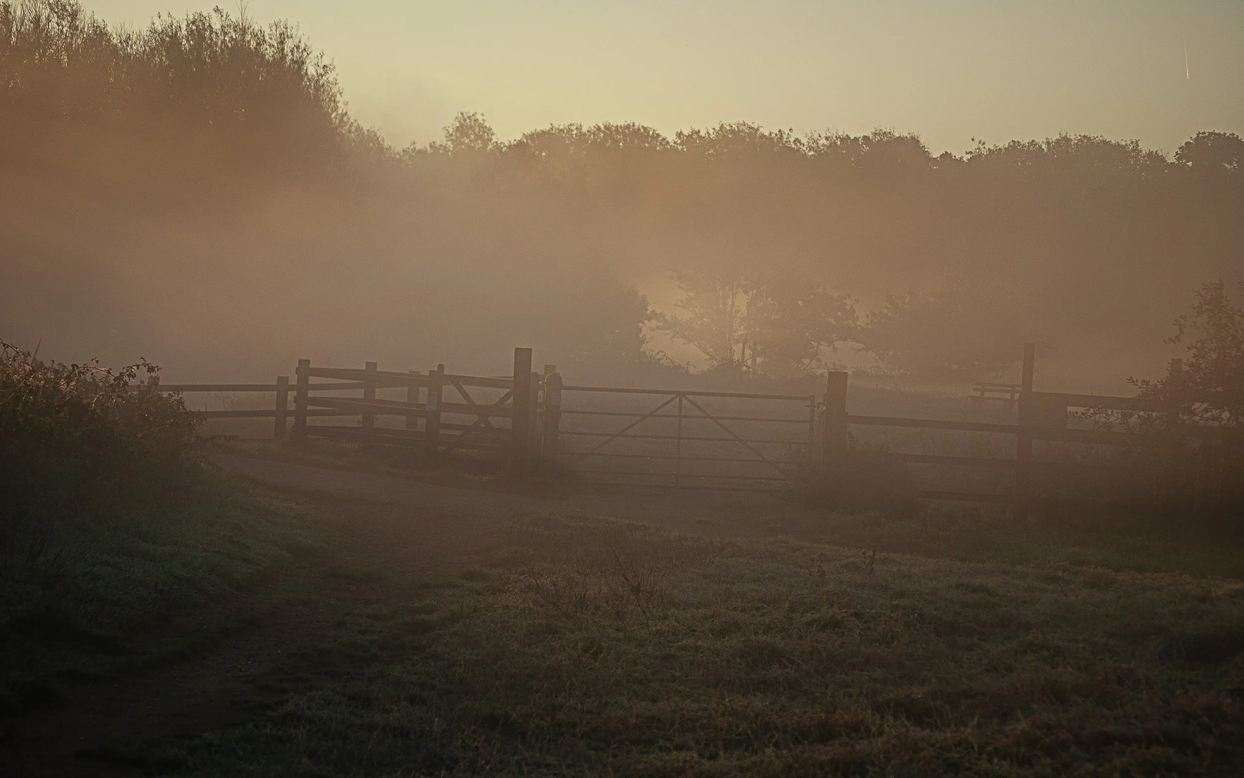 117 040 - Misty Path.jpg